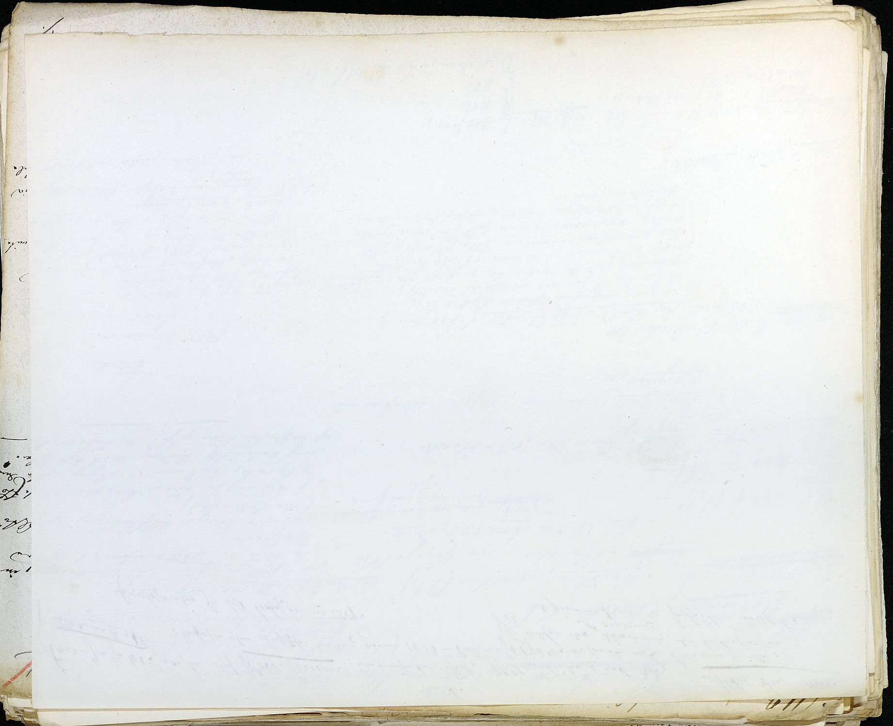 StiAZ-02-Leop-01 0431.jpg