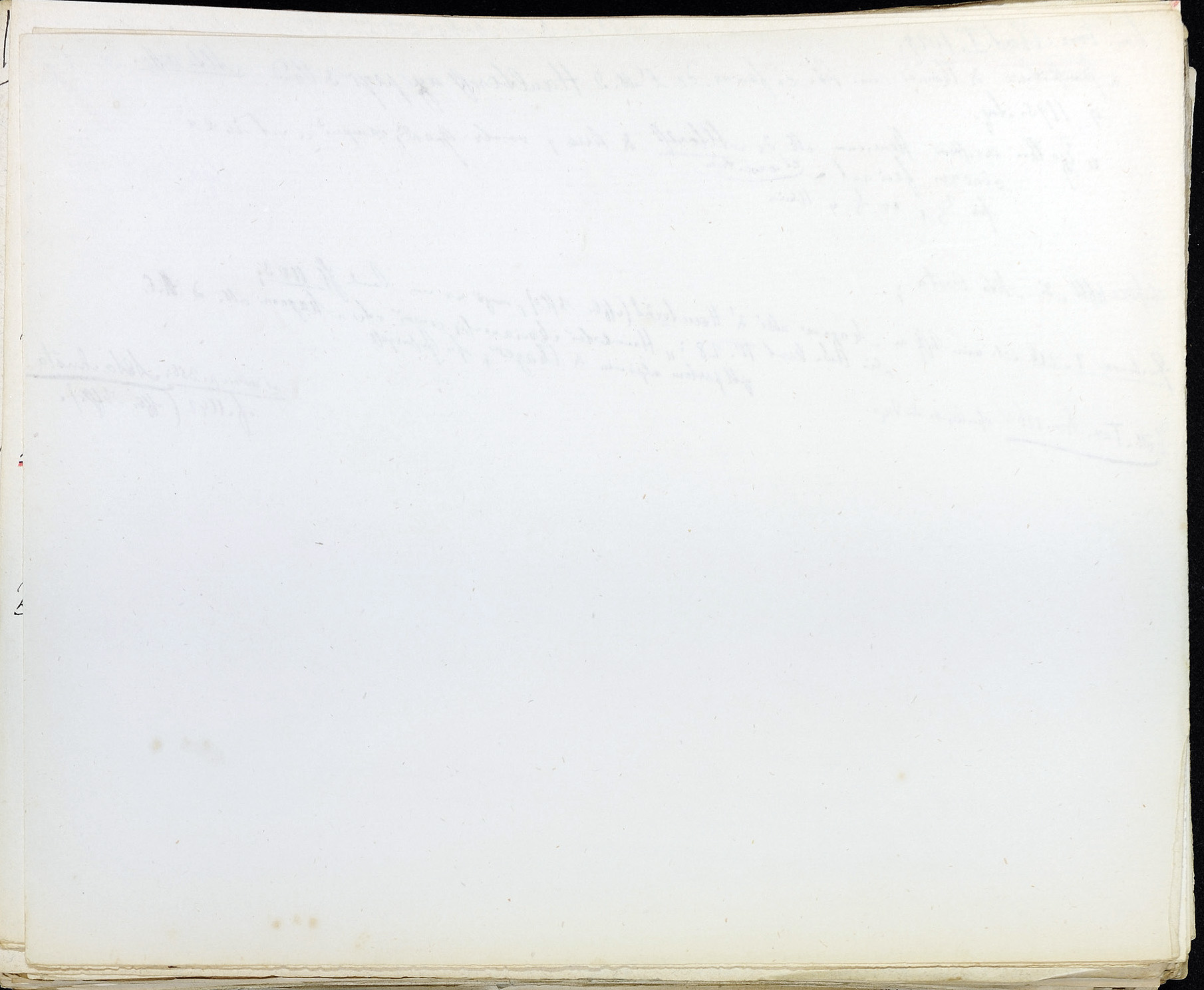 StiAZ-02-Leop-01 0314.jpg