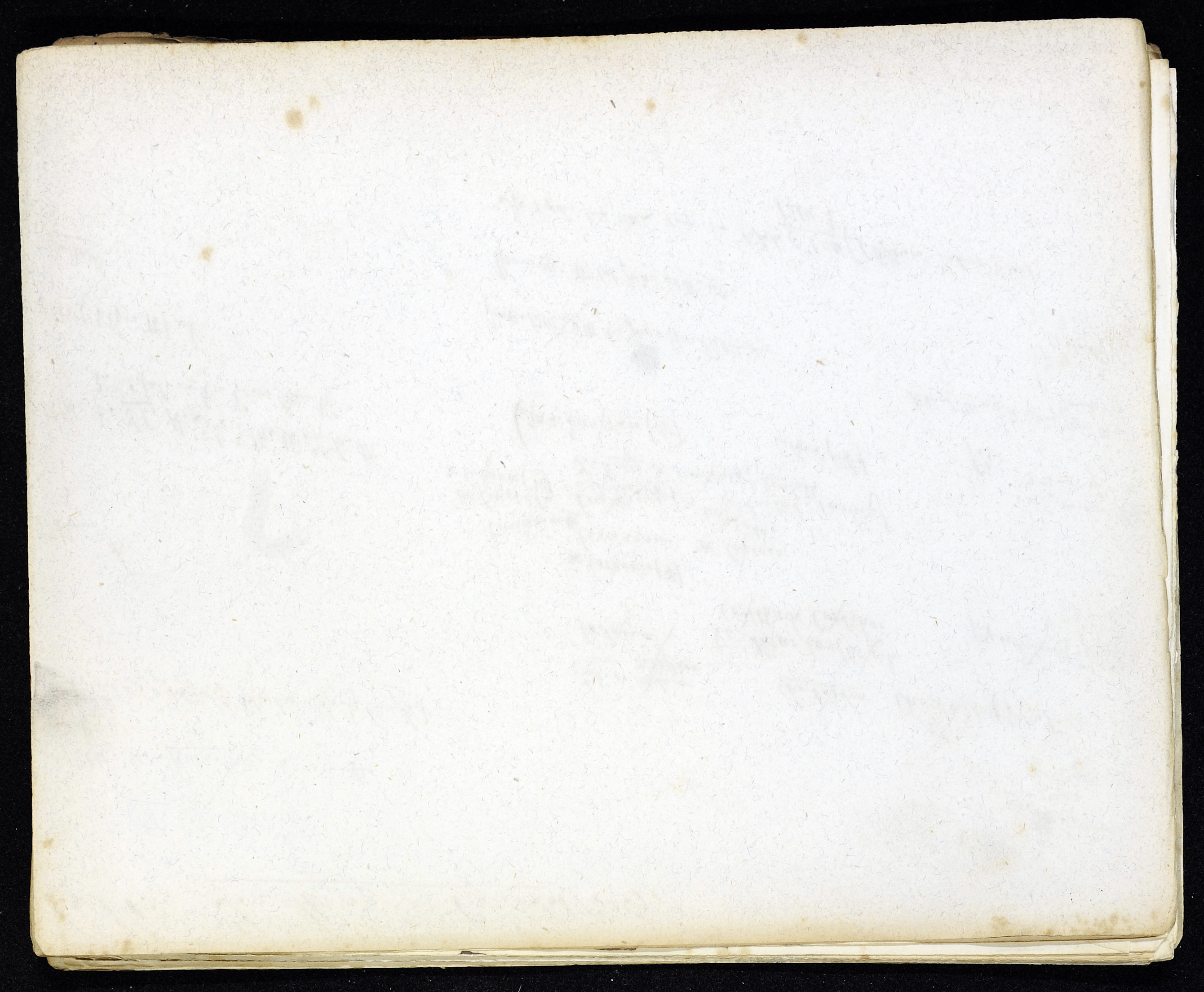StiAZ-02-Leop-03 0916.jpg