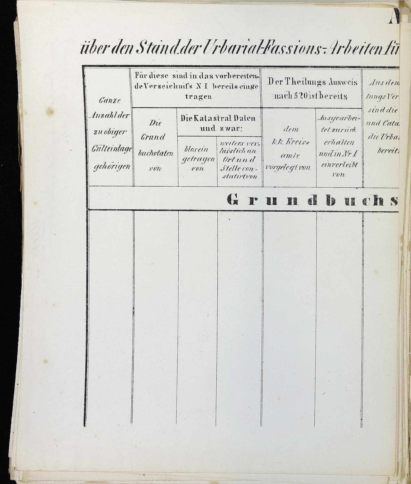 StiAZ-02-Leop-01 0140.jpg