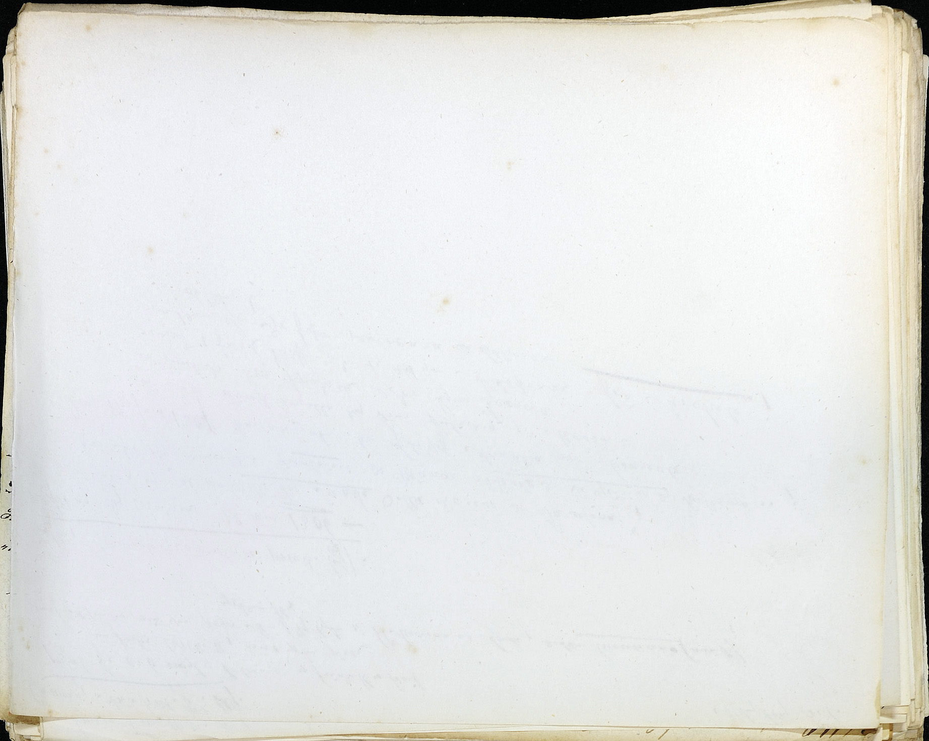 StiAZ-02-Leop-01 0421.jpg