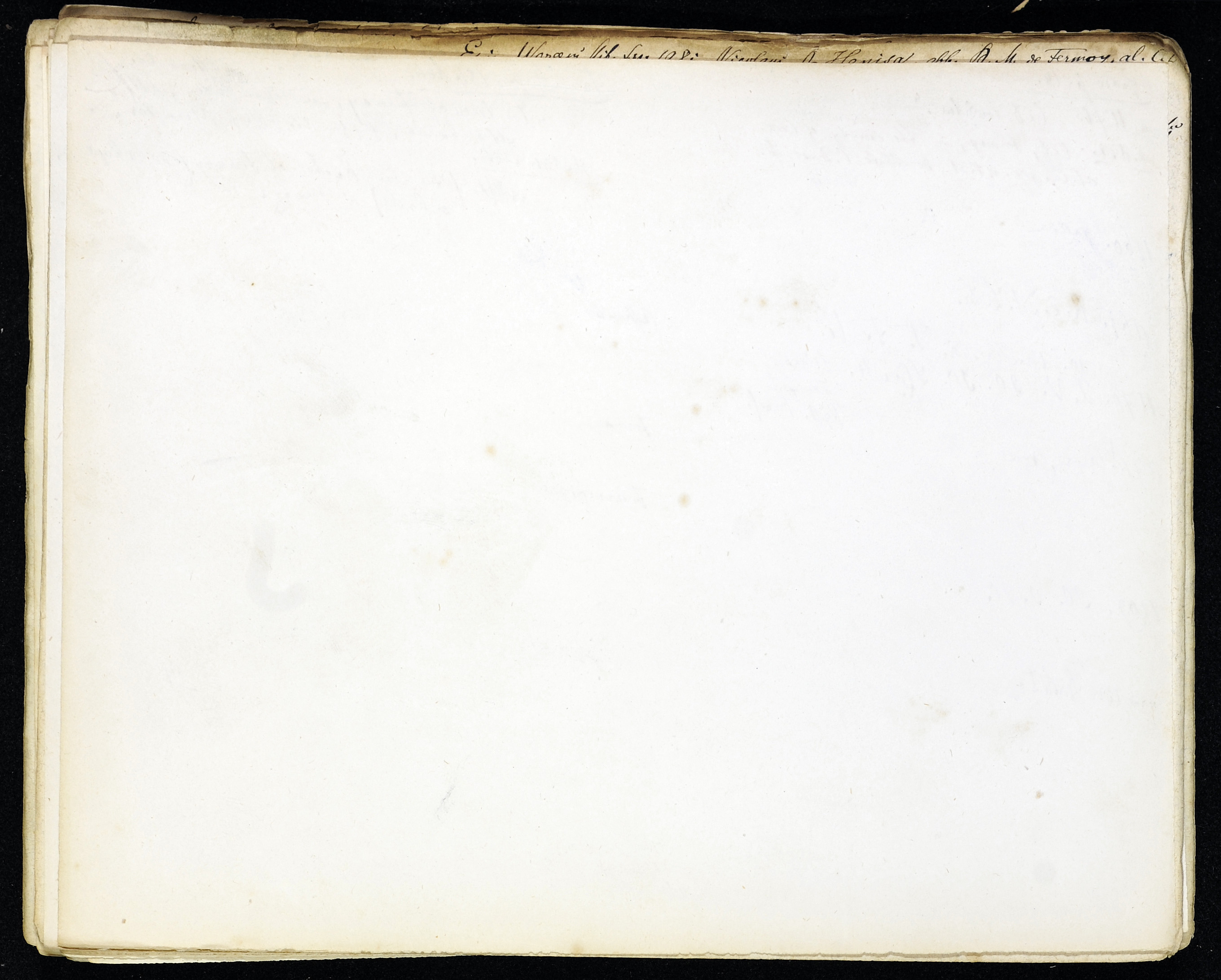 StiAZ-02-Leop-03 0592.jpg