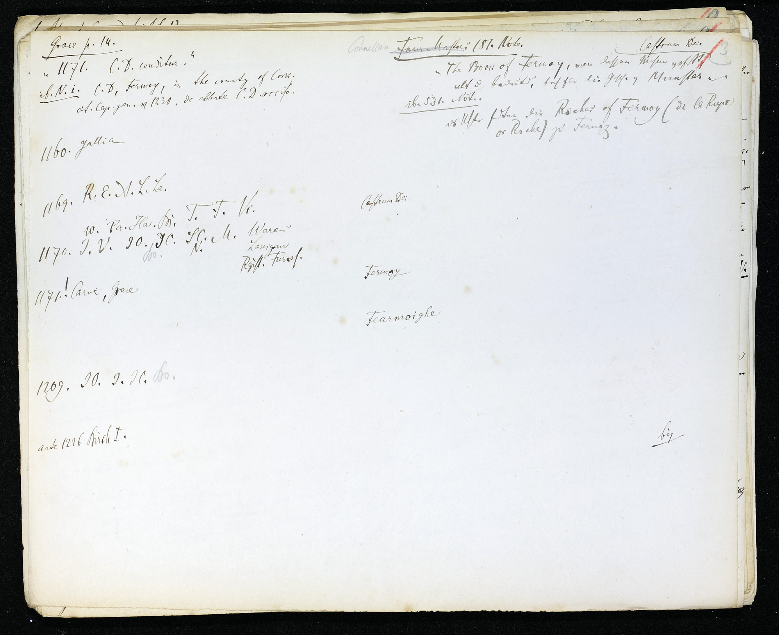 StiAZ-02-Leop-03 0591.jpg