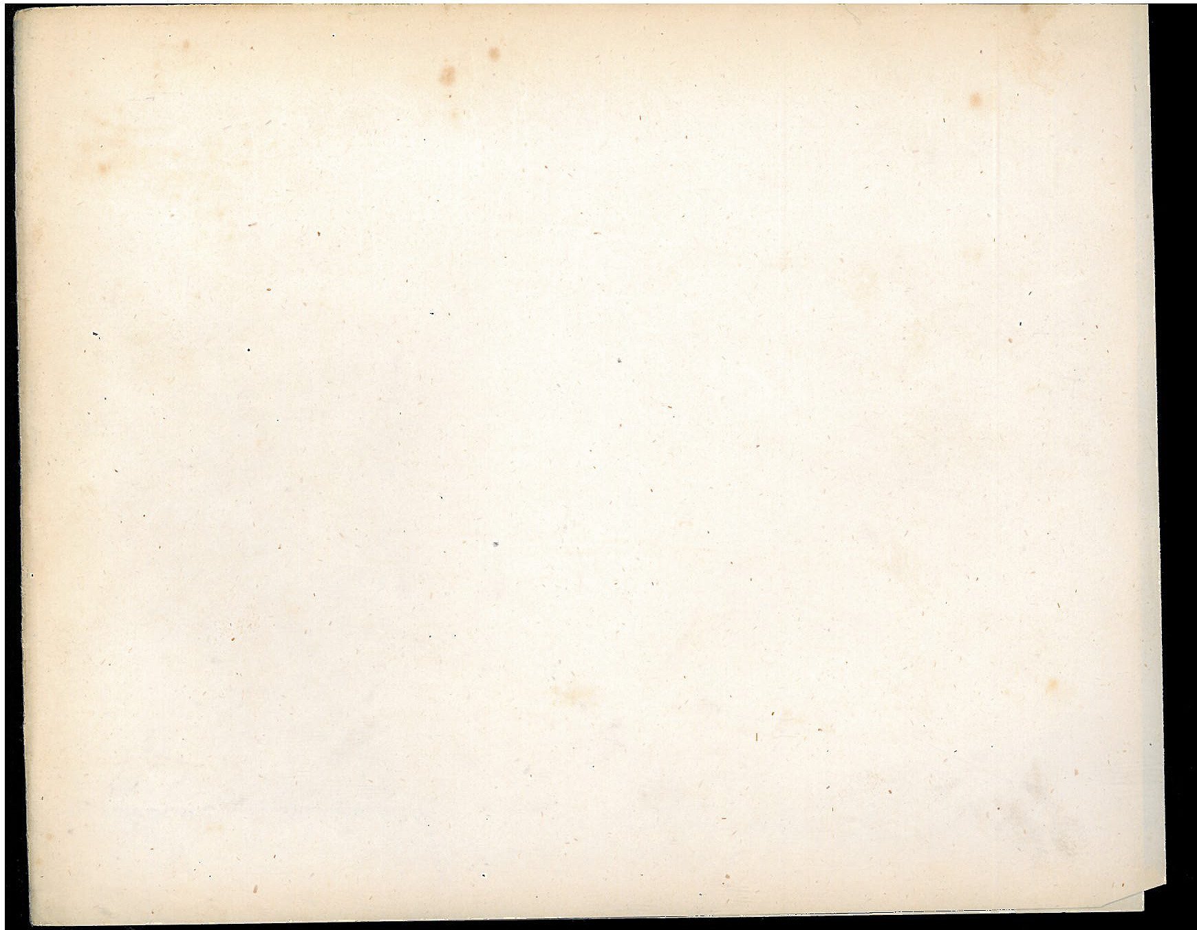 StiAZ-02-Leop-07 1161.jpg