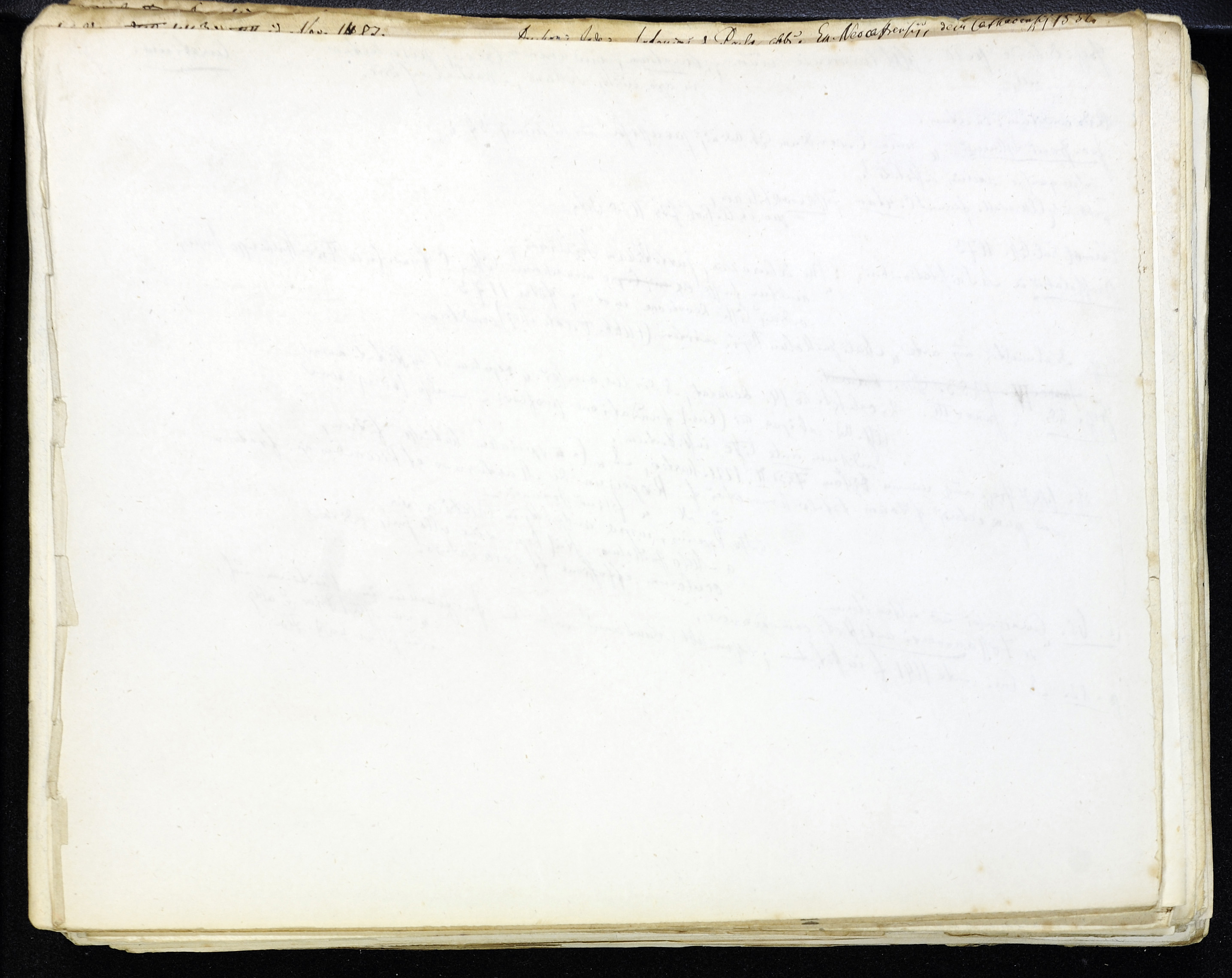 StiAZ-02-Leop-03 1657.jpg