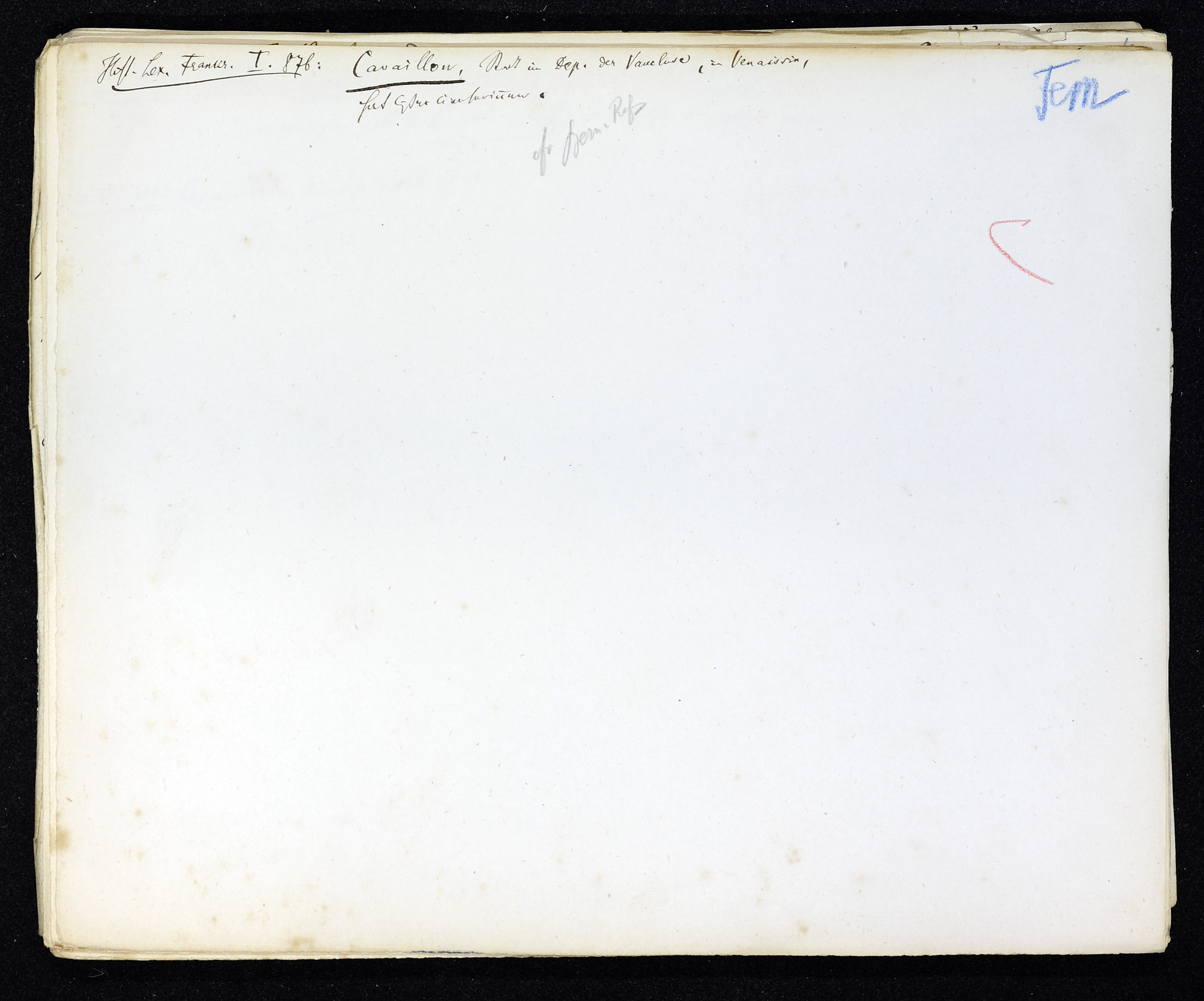 StiAZ-02-Leop-03 0725.jpg
