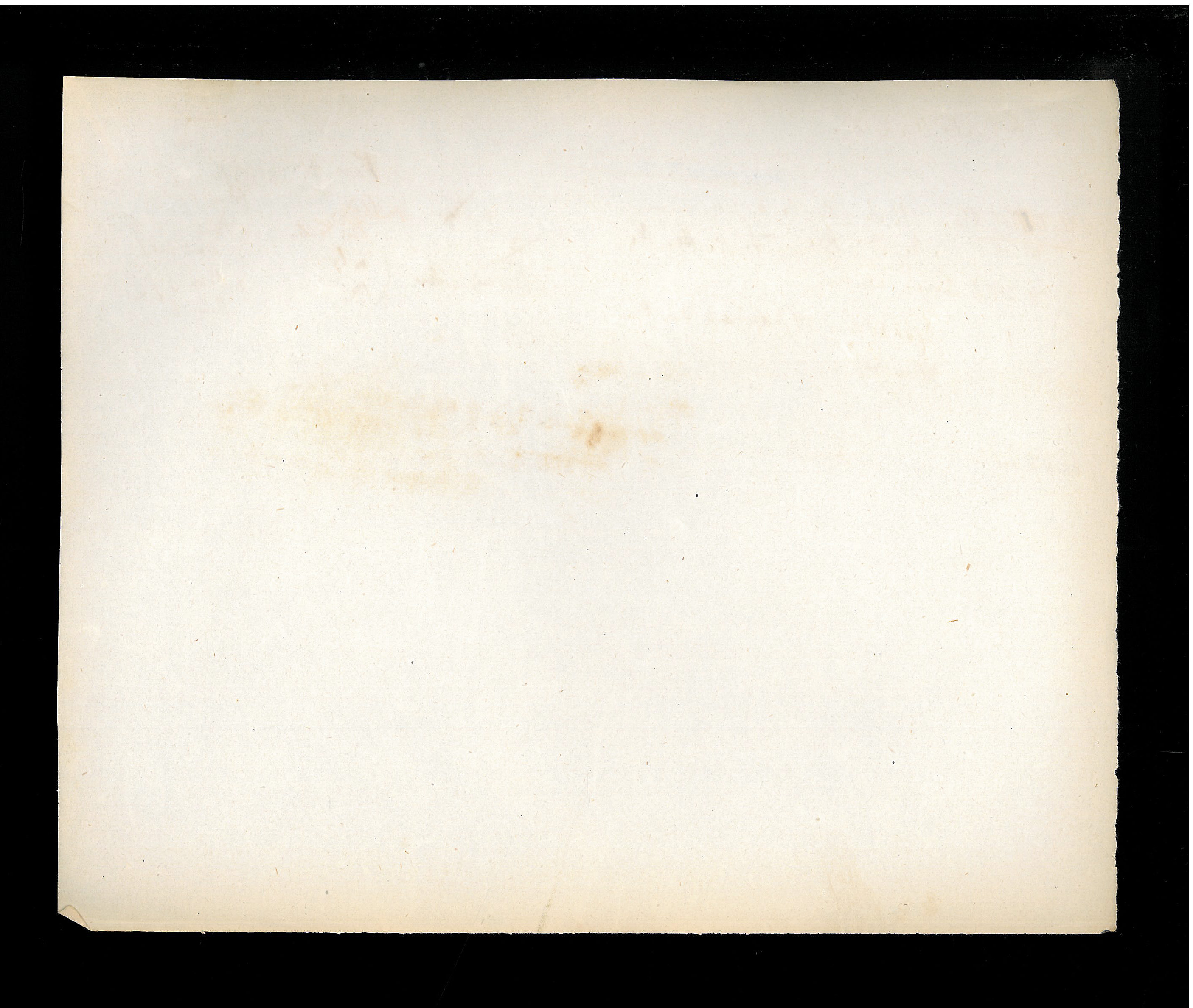 StiAZ-02-Leop-08 1072.jpg