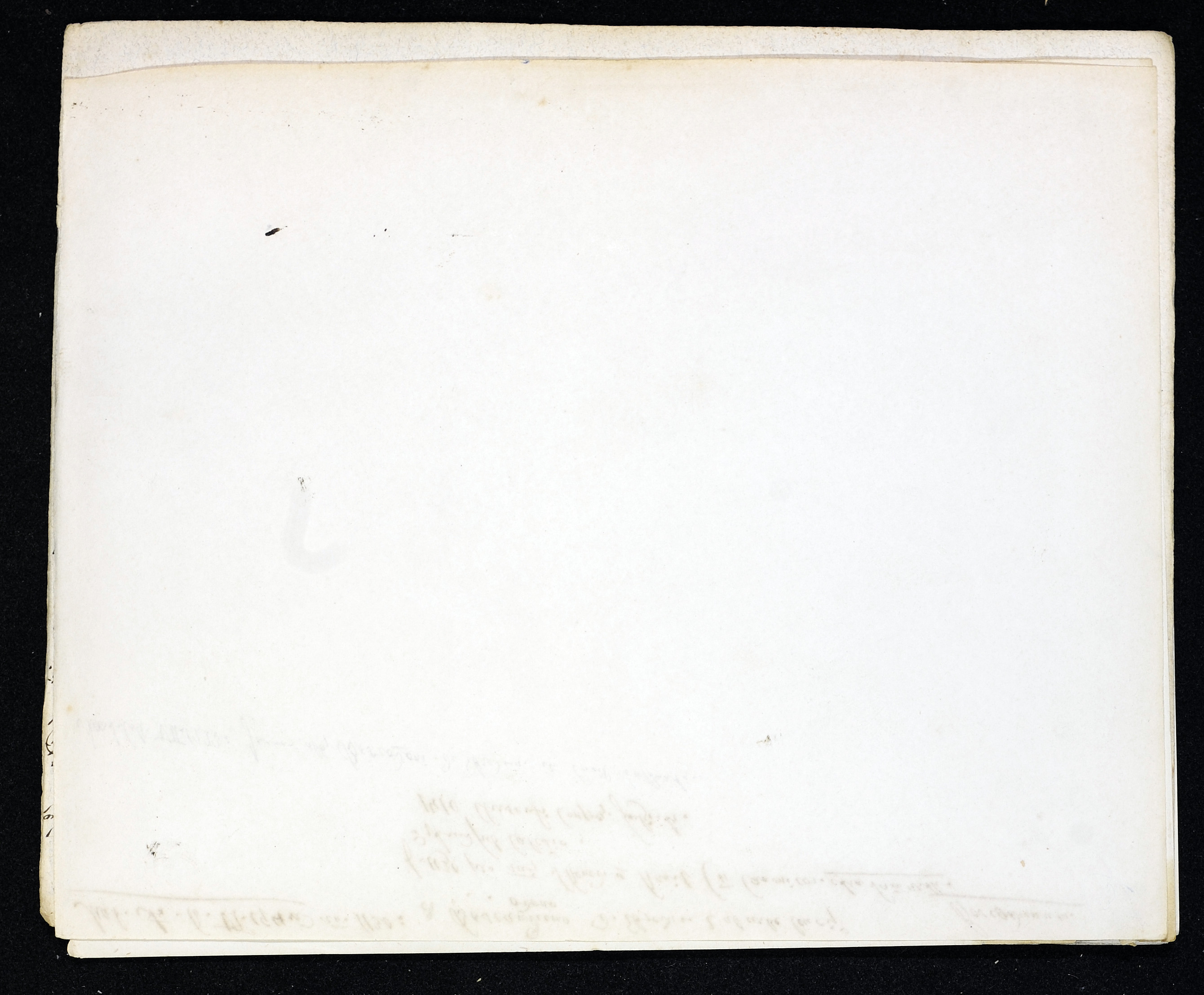 StiAZ-02-Leop-02 0990.jpg