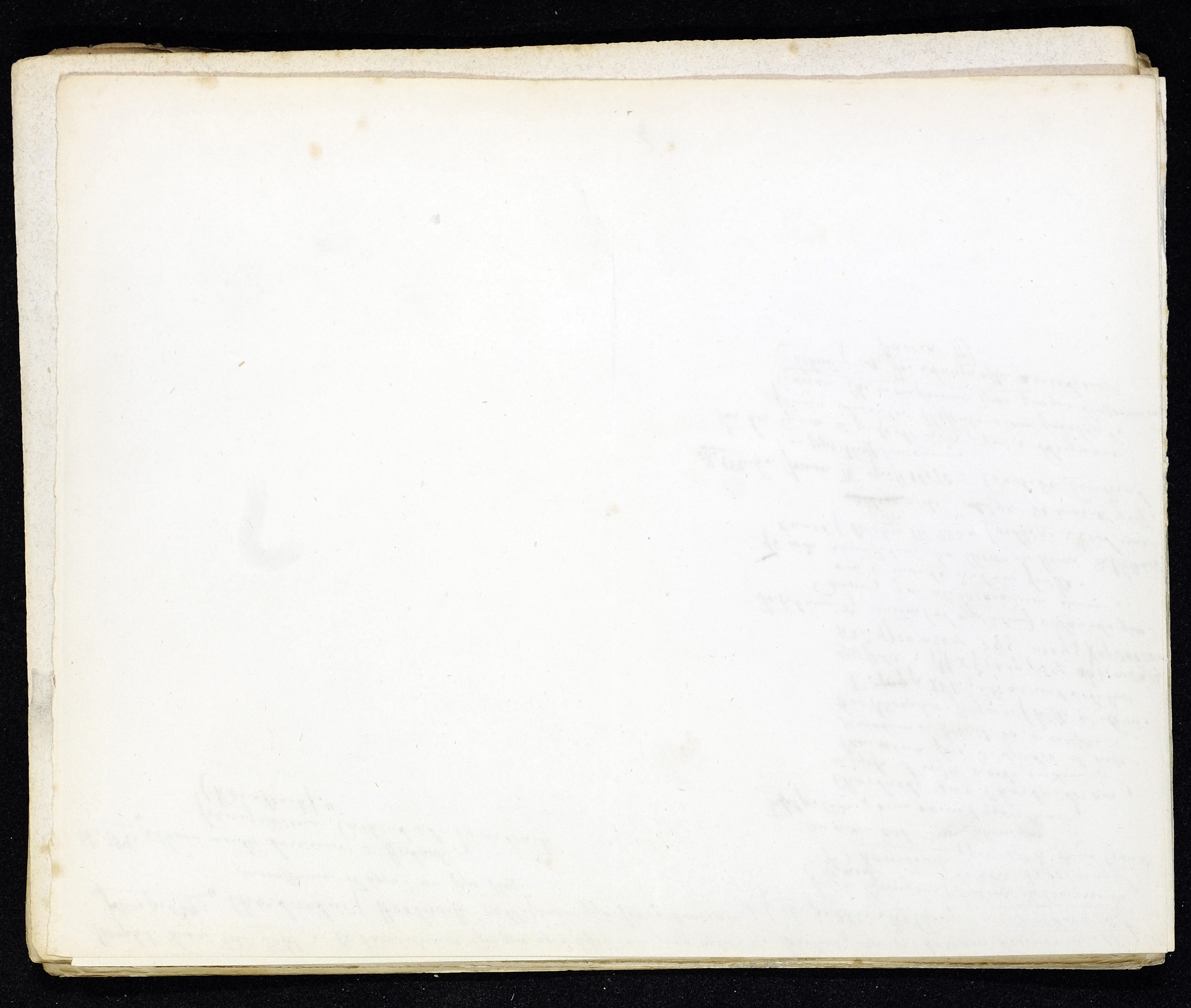 StiAZ-02-Leop-03 0920.jpg