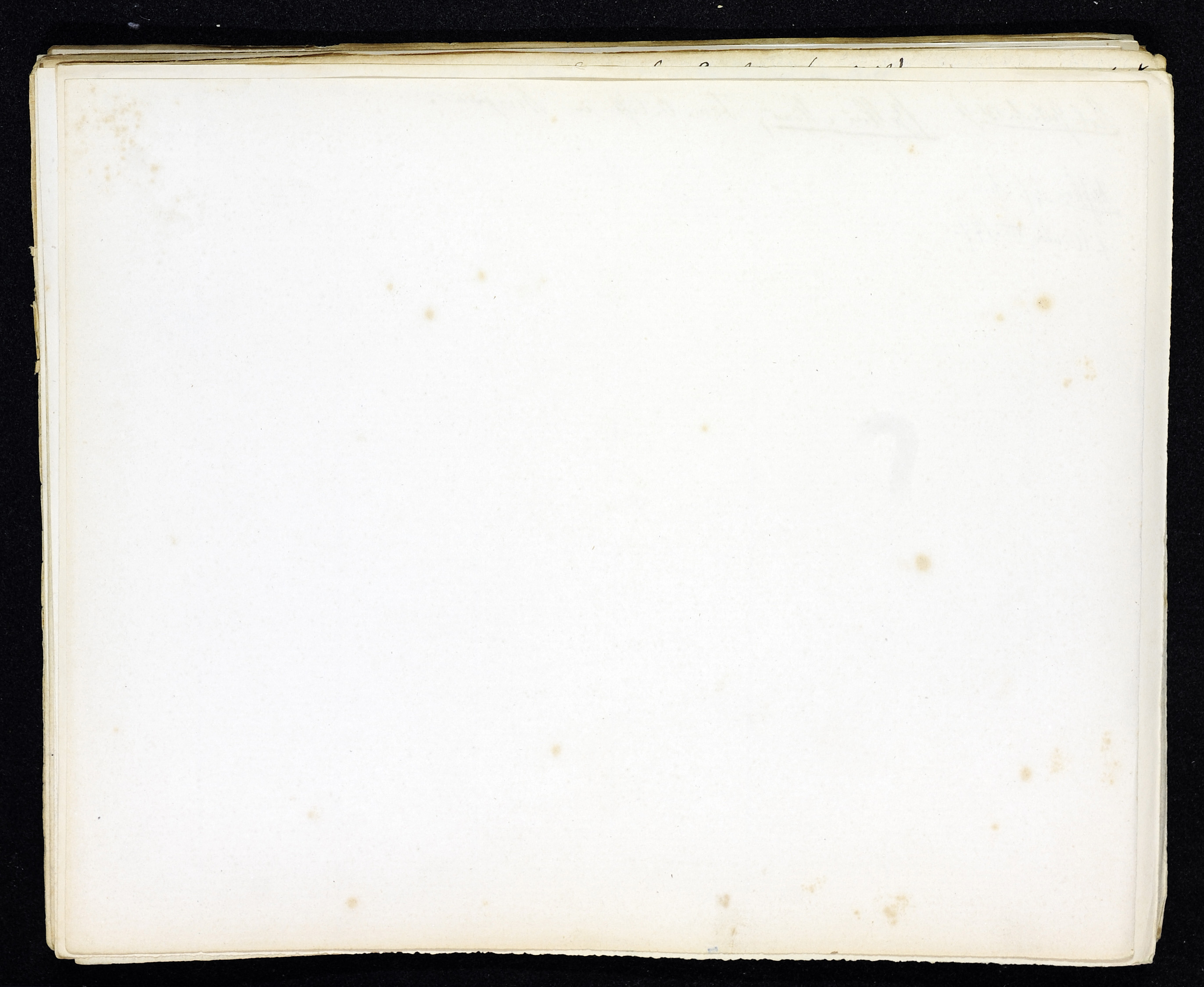 StiAZ-02-Leop-02 0326.jpg