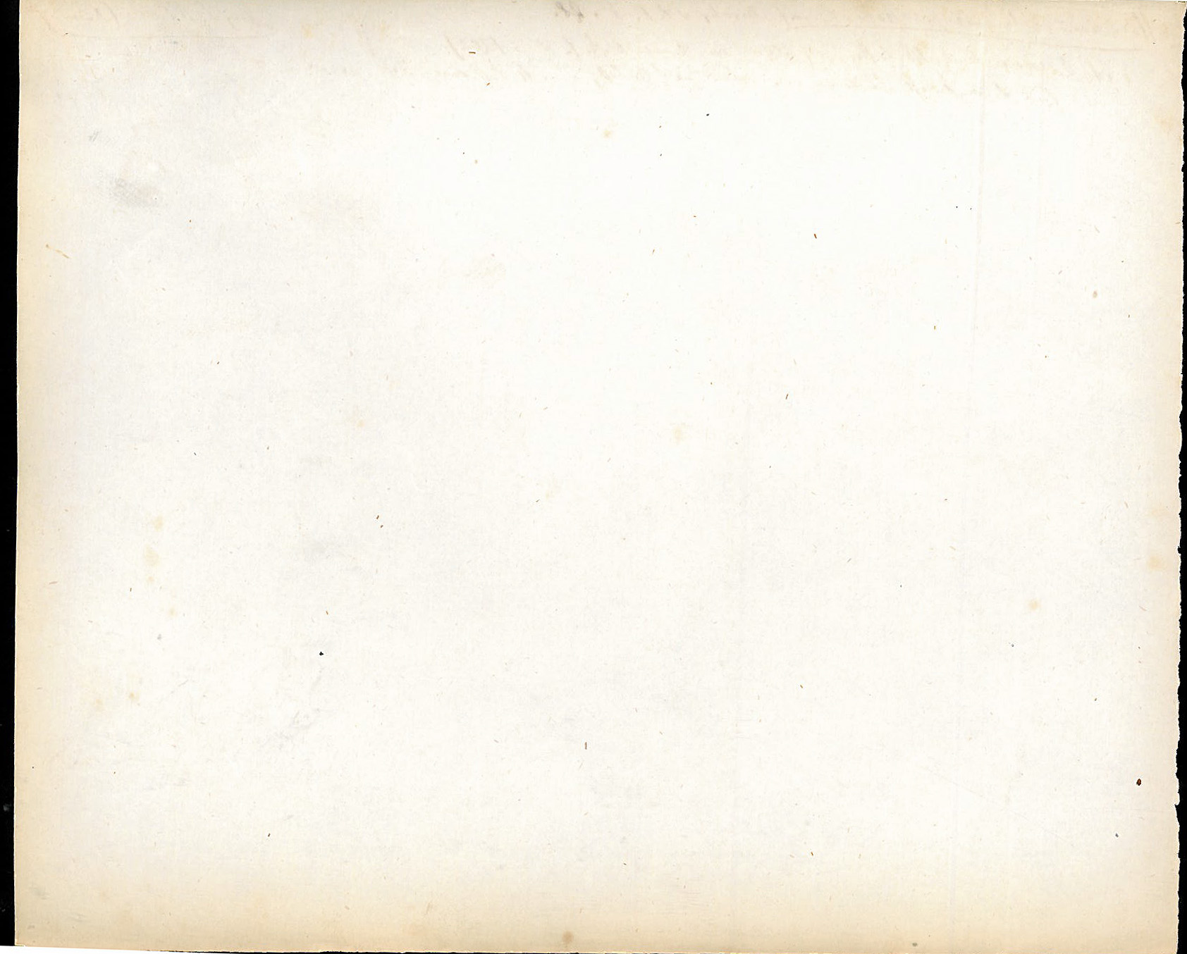StiAZ-02-Leop-07 0975.jpg