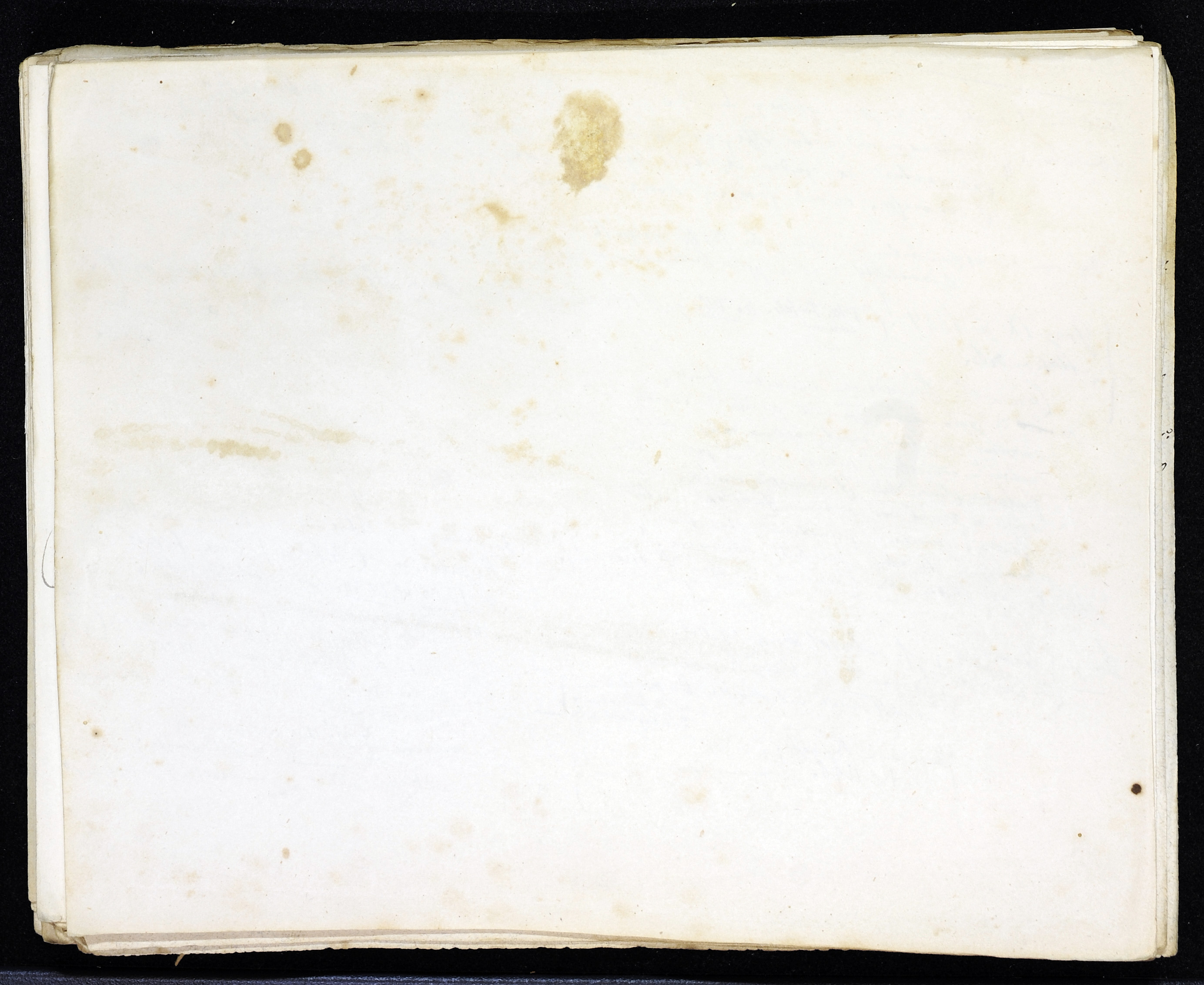 StiAZ-02-Leop-02 1172.jpg