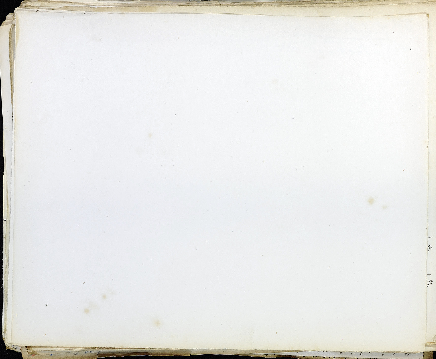 StiAZ-02-Leop-01 0661.jpg