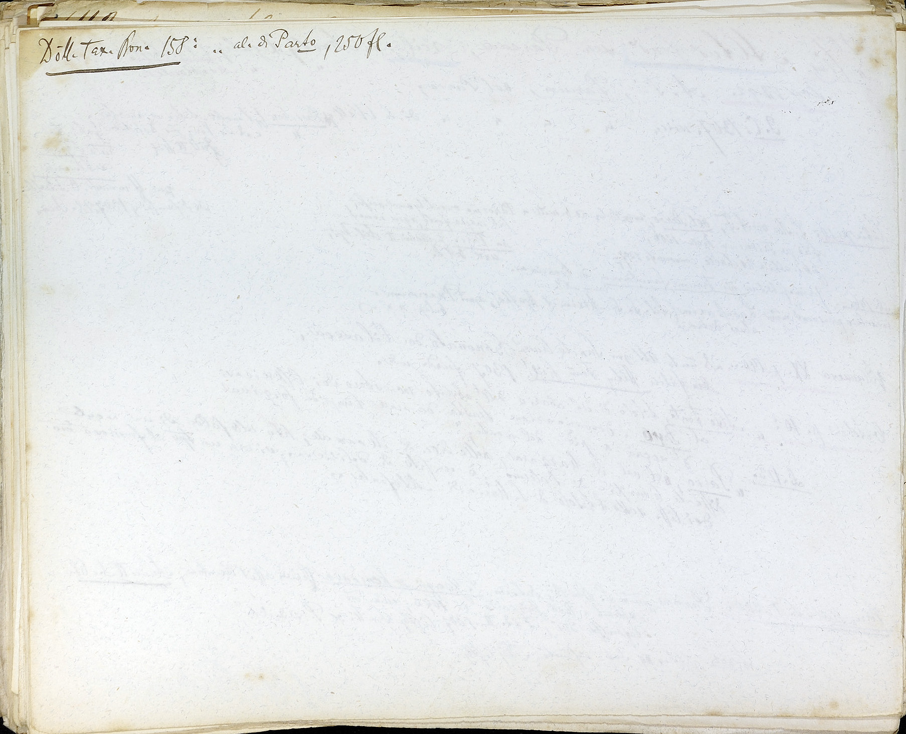 StiAZ-02-Leop-01 0417.jpg