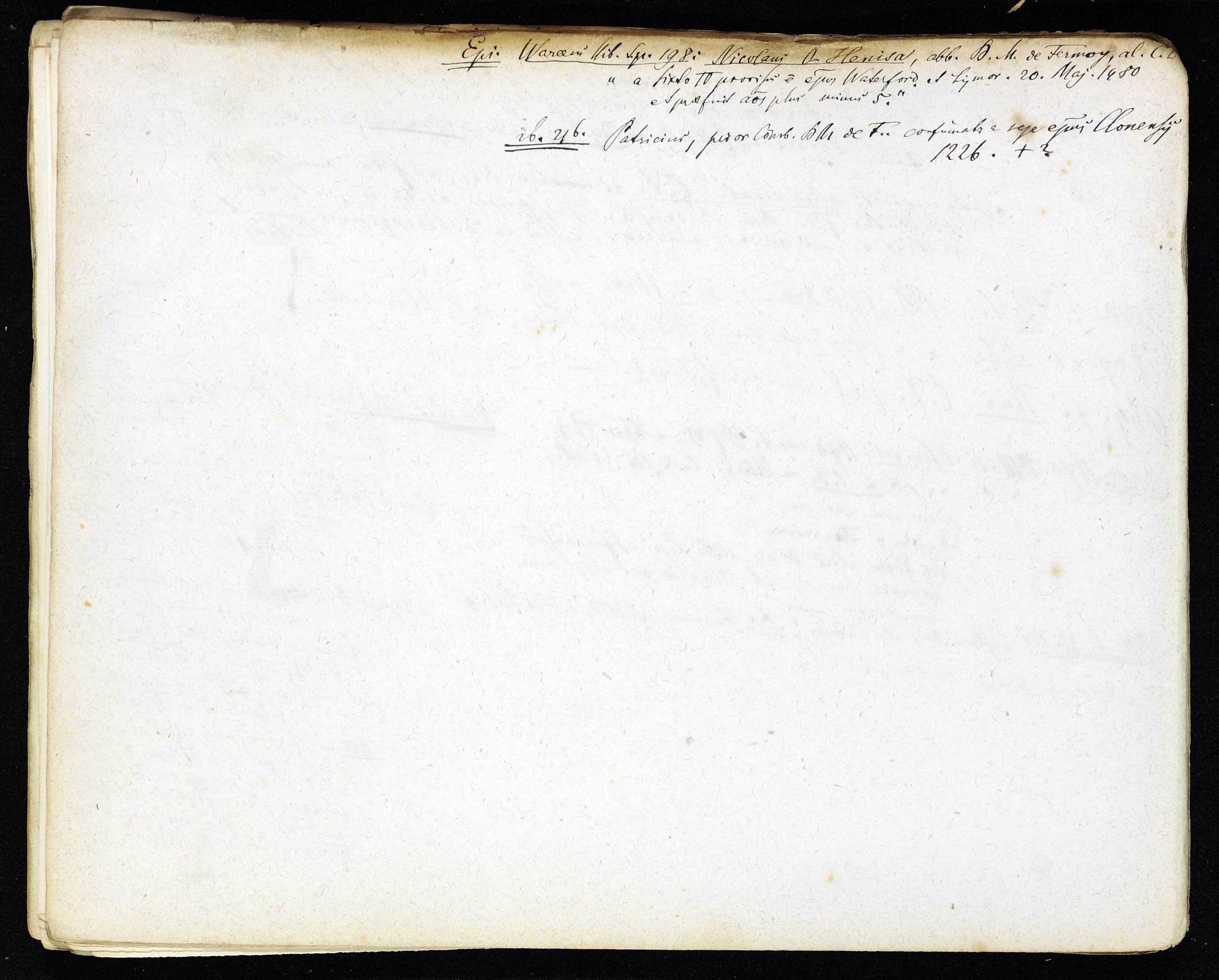StiAZ-02-Leop-03 0588.jpg
