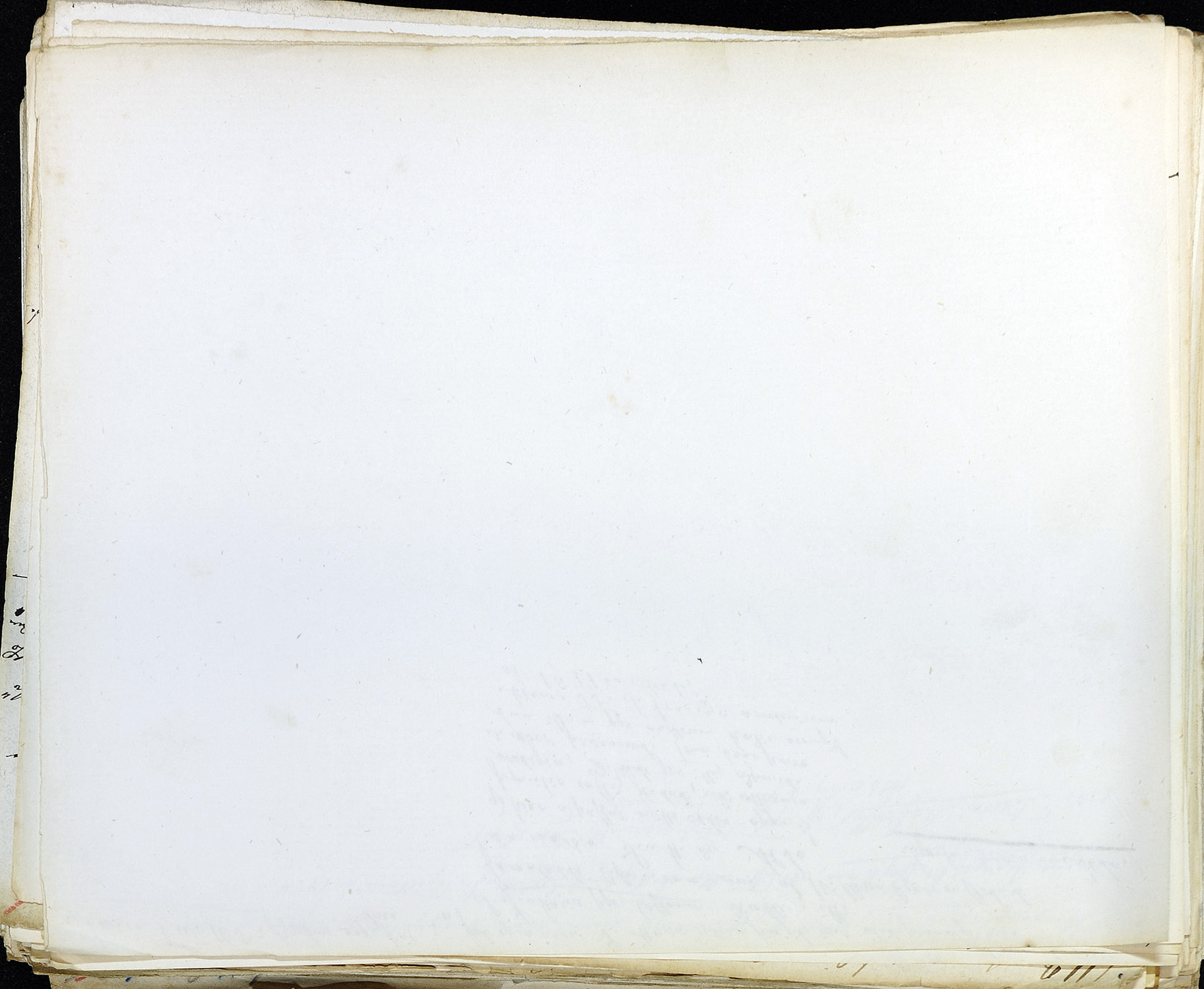 StiAZ-02-Leop-01 0423.jpg