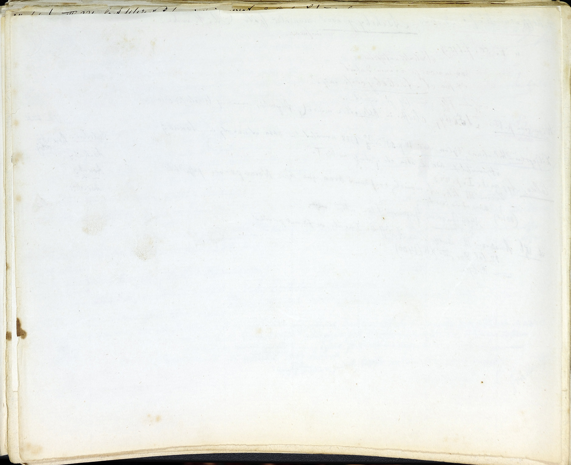 StiAZ-02-Leop-01 0862.jpg
