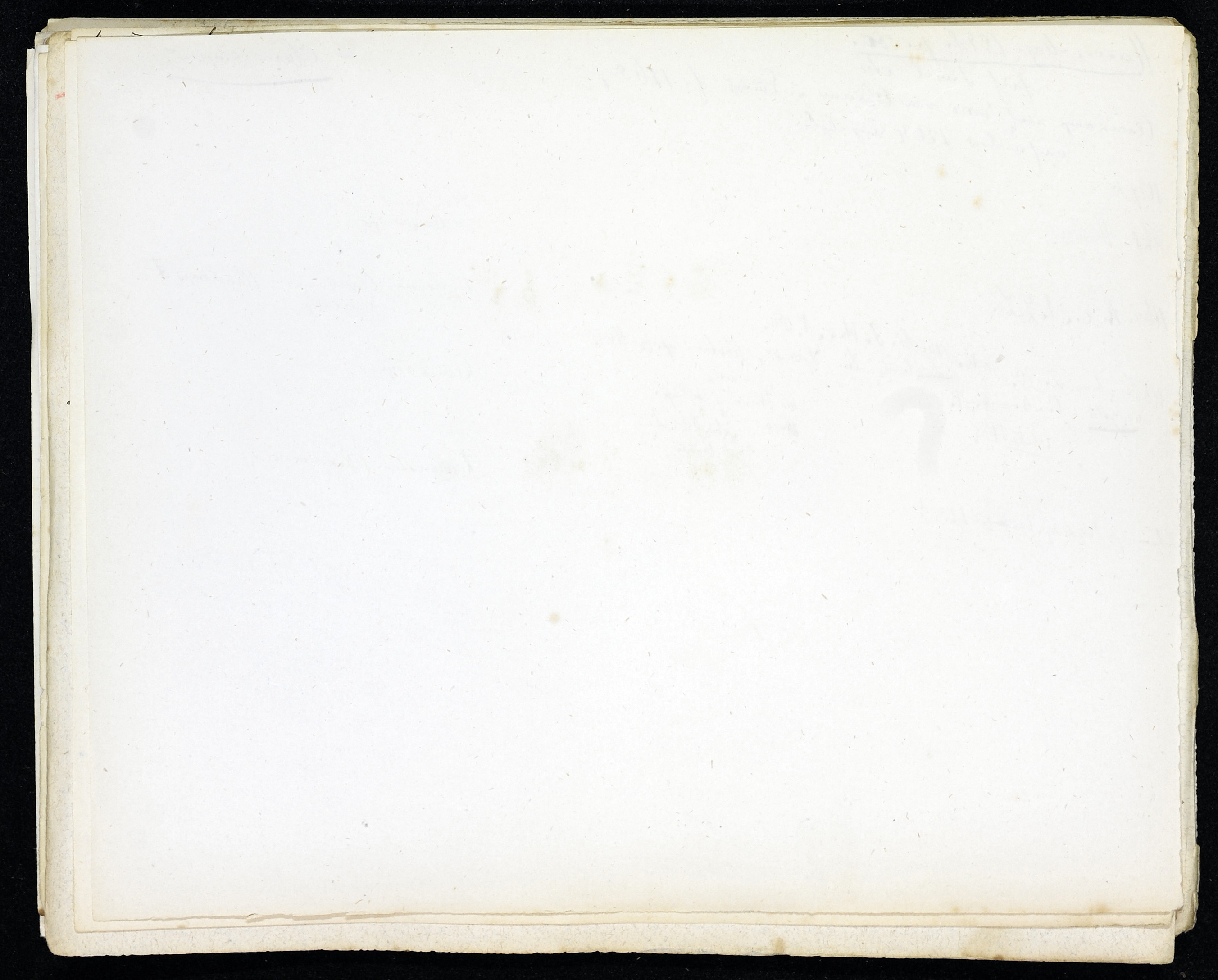 StiAZ-02-Leop-03 1161.jpg