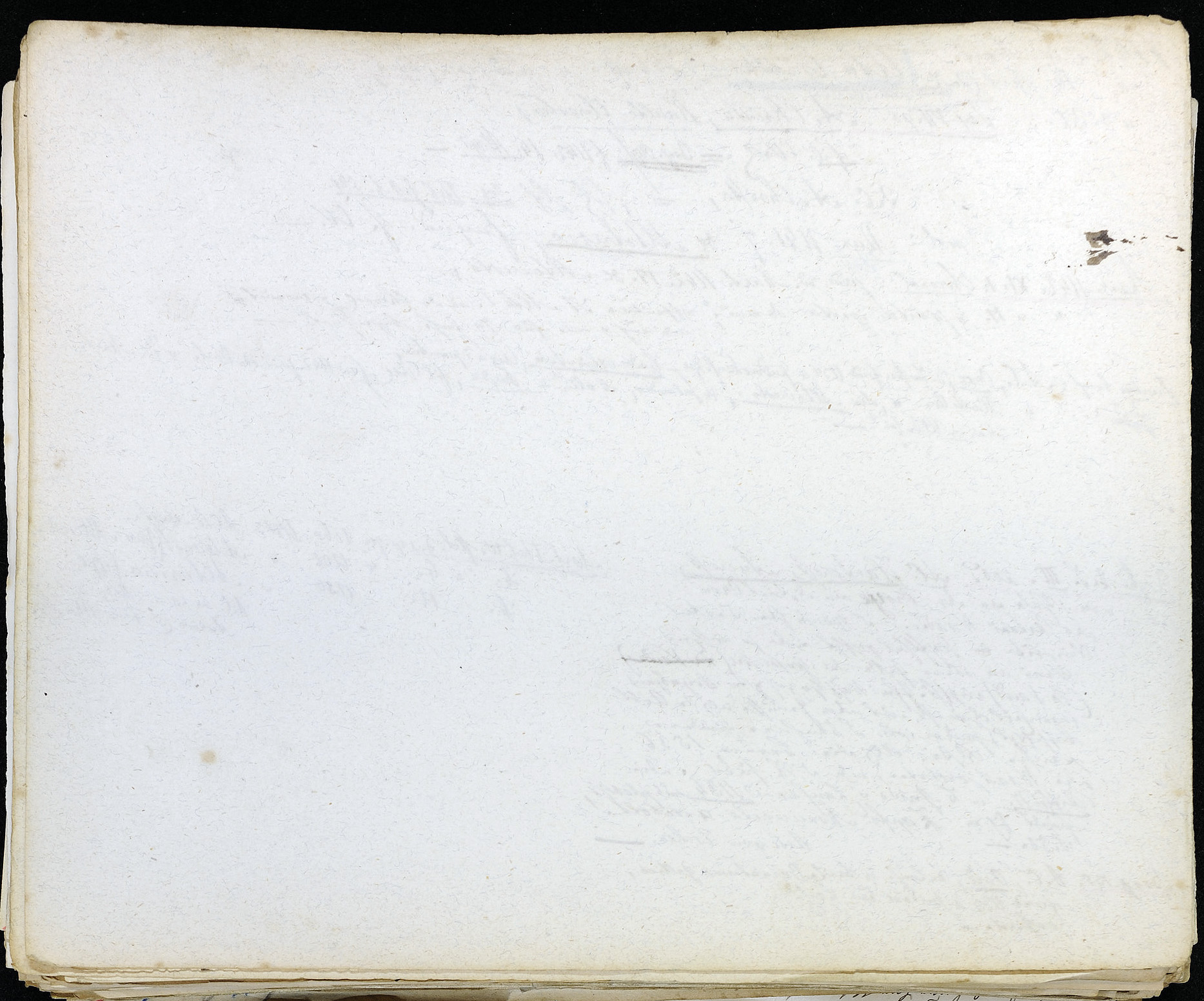 StiAZ-02-Leop-01 0312.jpg