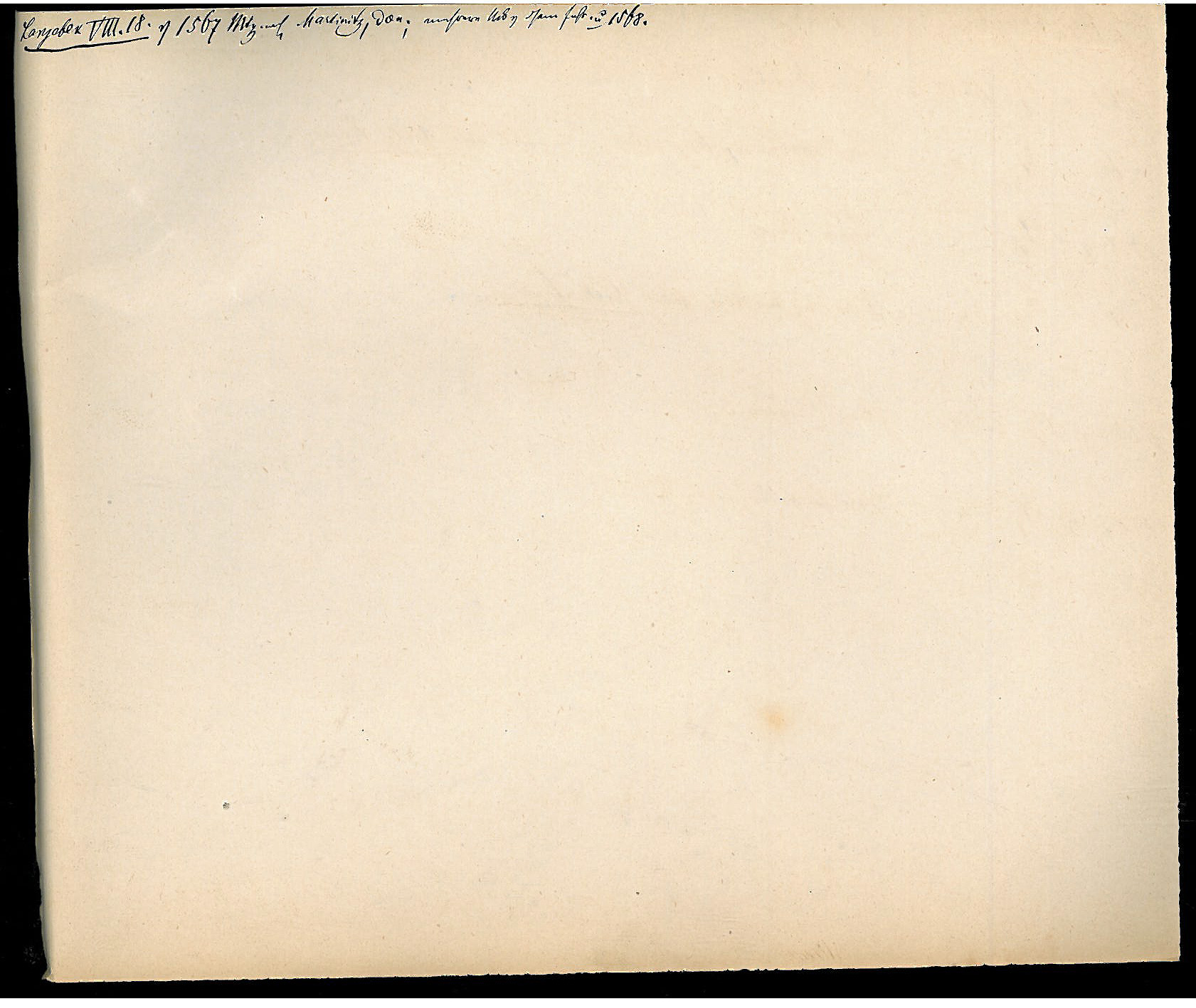 StiAZ-02-Leop-06 1020.jpg