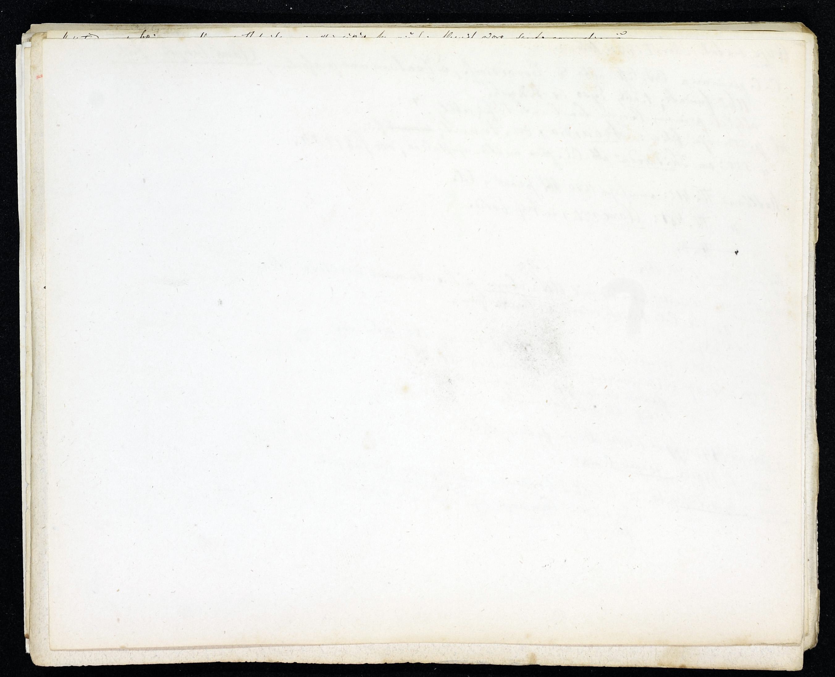 StiAZ-02-Leop-03 1159.jpg