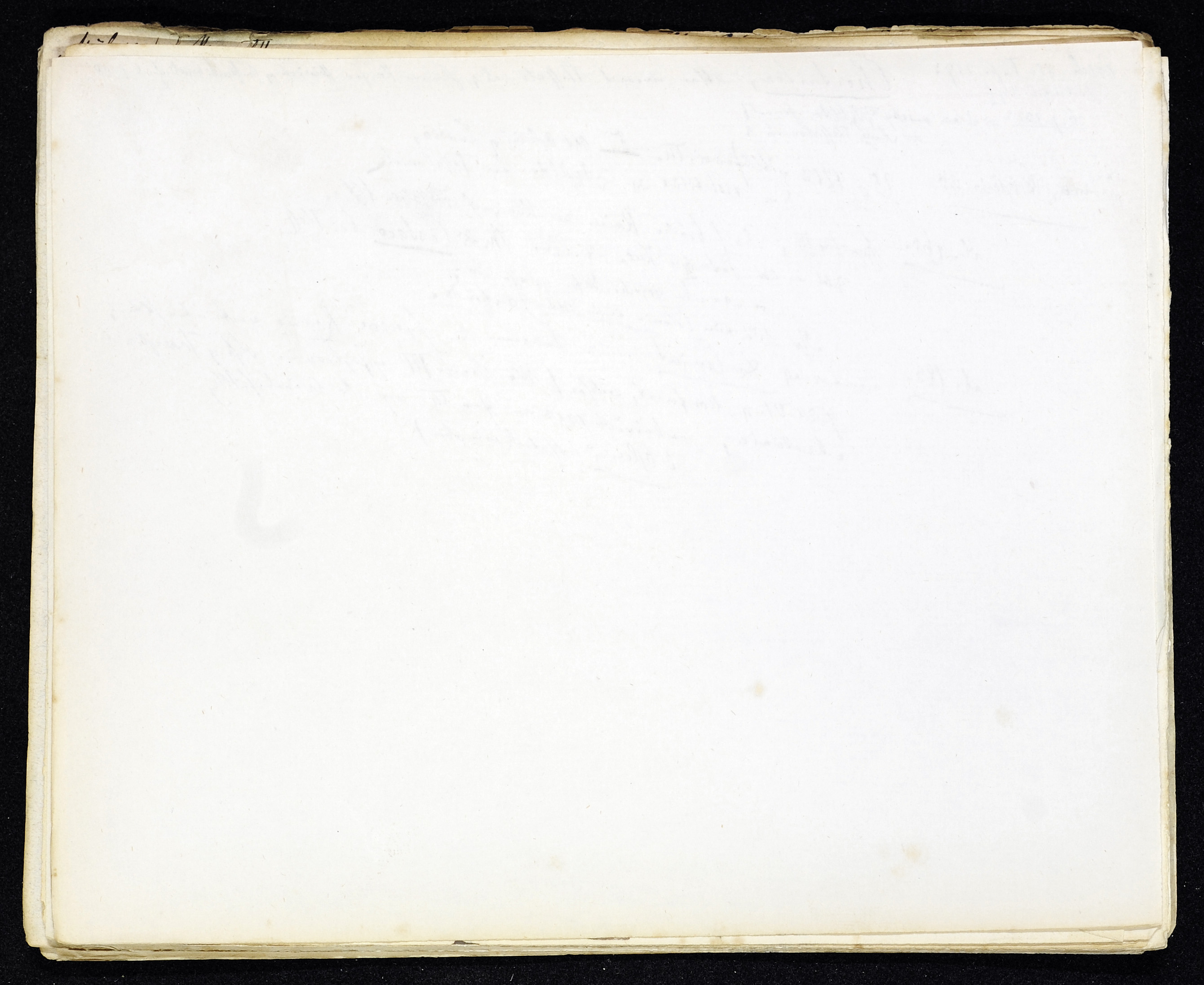 StiAZ-02-Leop-03 0914.jpg