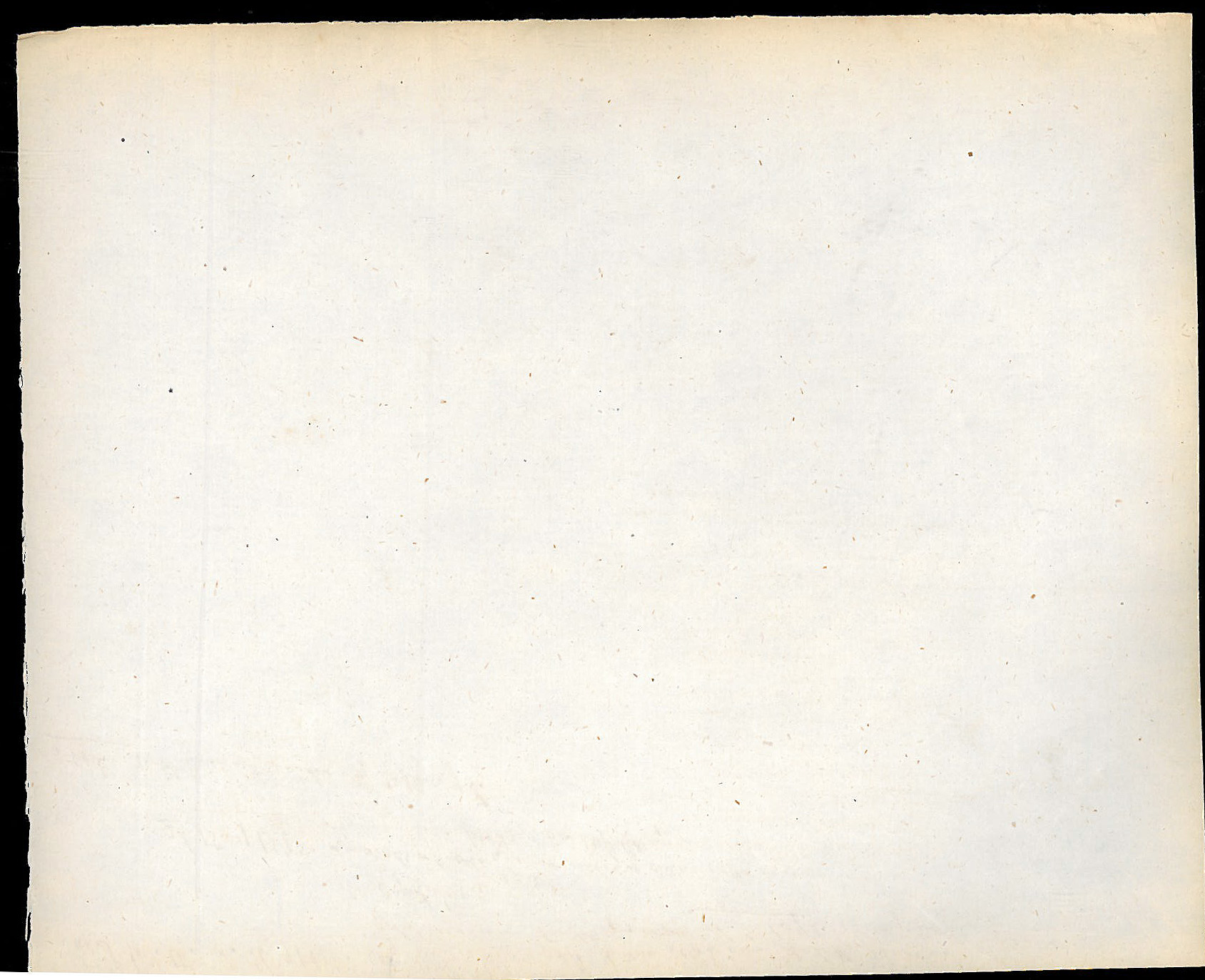 StiAZ-02-Leop-05 0290.jpg