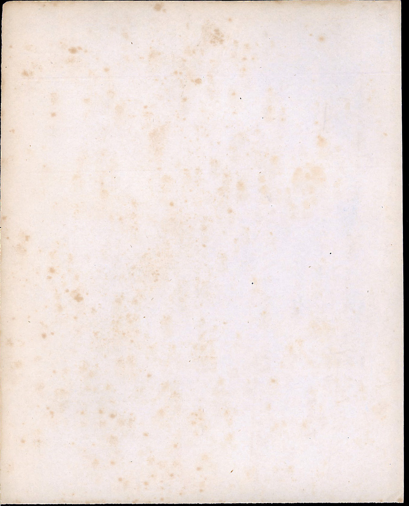 StiAZ-02-Leop-10 0164.jpg