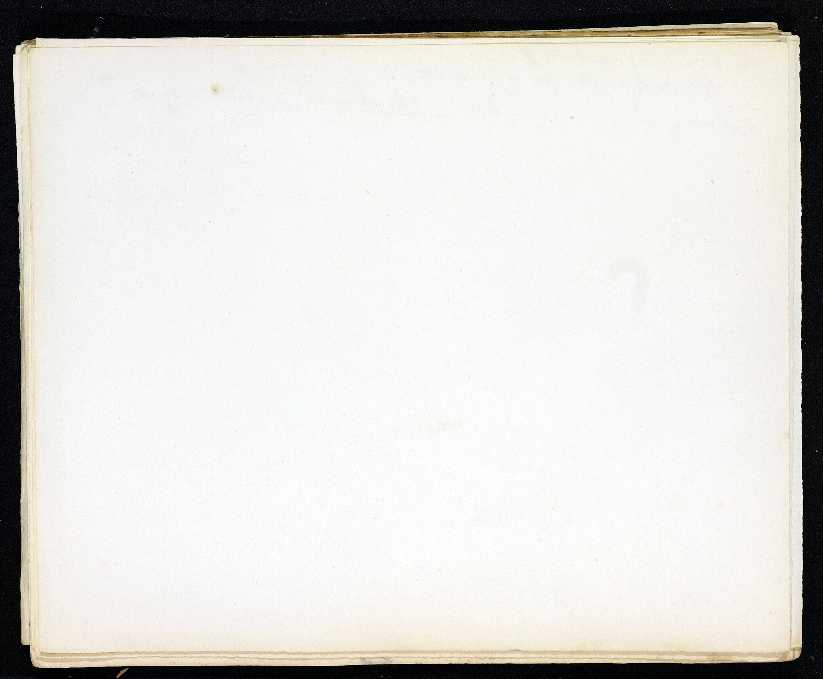 StiAZ-02-Leop-03 0366.jpg
