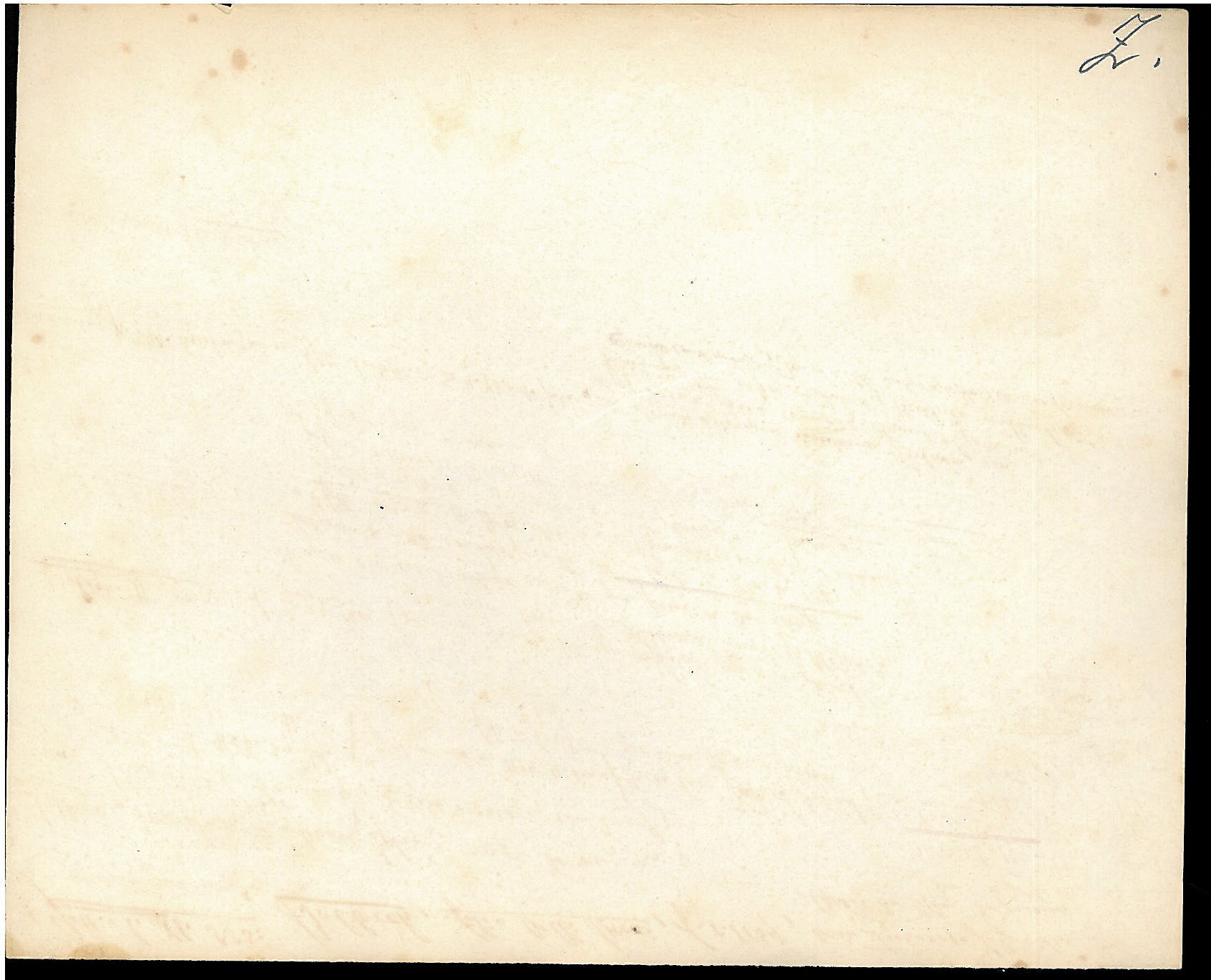 StiAZ-02-Leop-04 1250.jpg