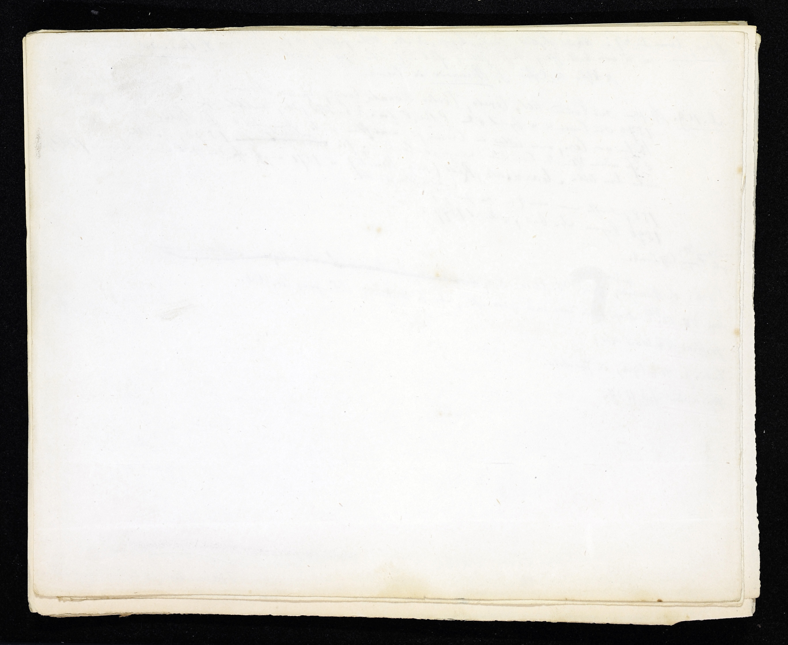 StiAZ-02-Leop-02 0528.jpg