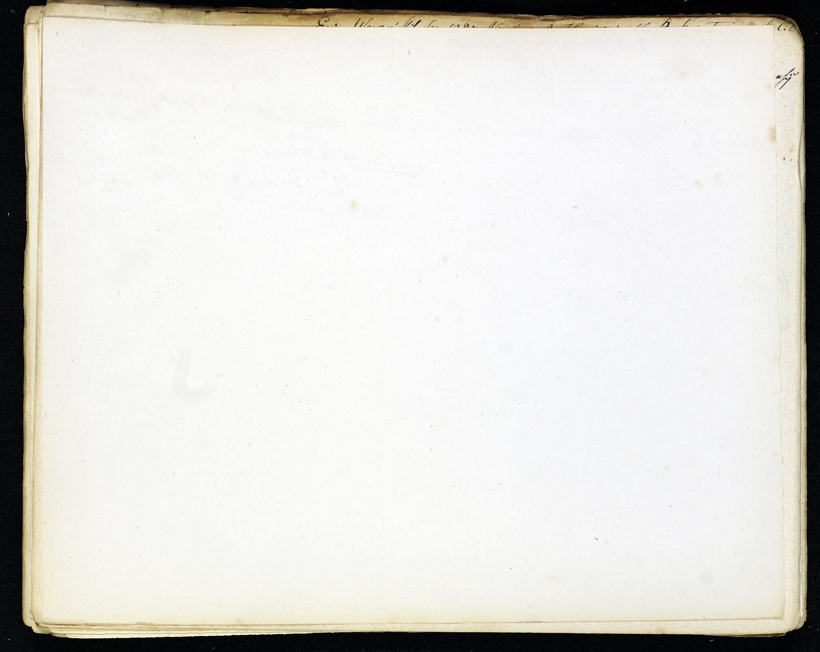 StiAZ-02-Leop-03 0590.jpg