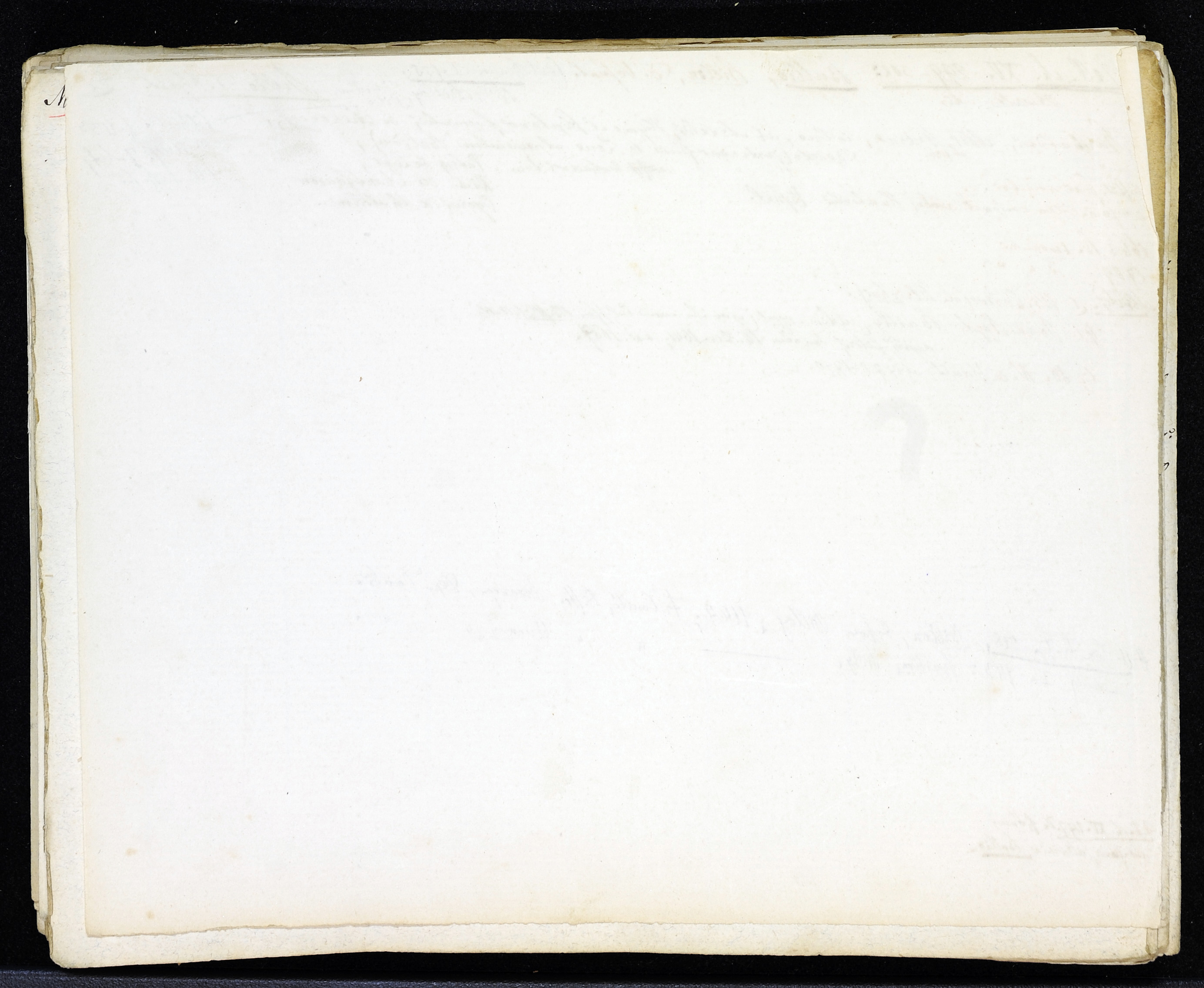 StiAZ-02-Leop-02 1180.jpg