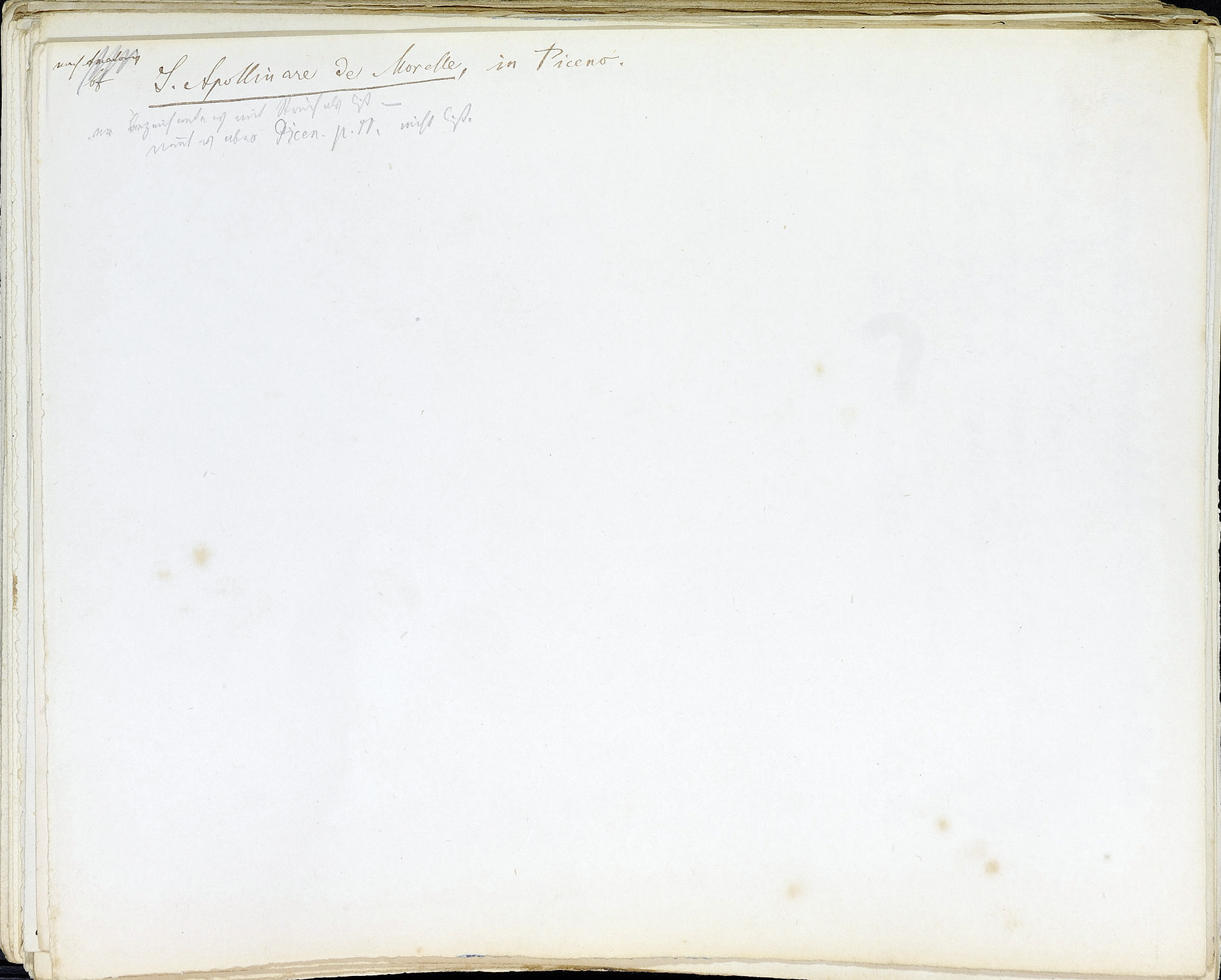 StiAZ-02-Leop-01 0662.jpg