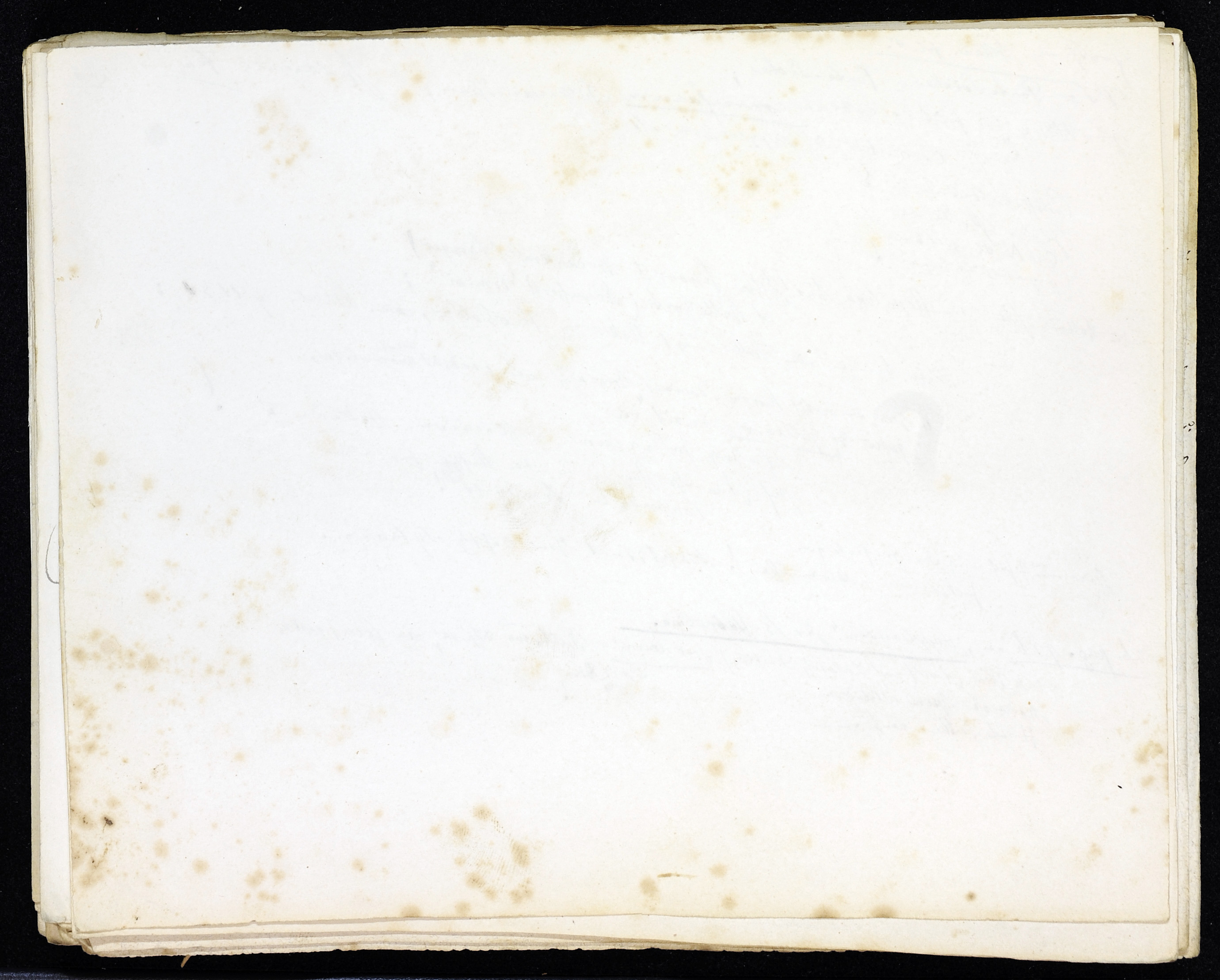 StiAZ-02-Leop-02 1174.jpg