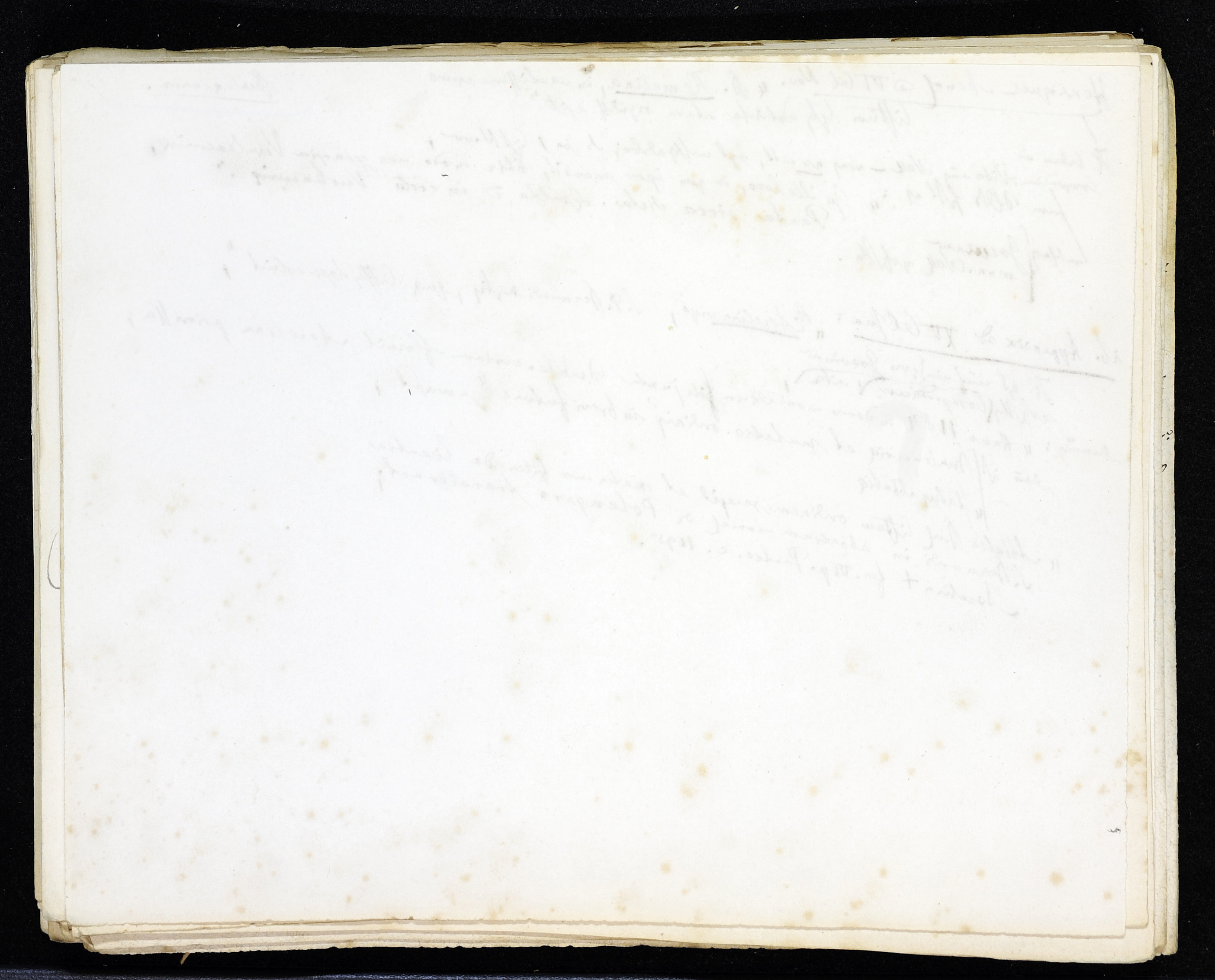 StiAZ-02-Leop-02 1176.jpg