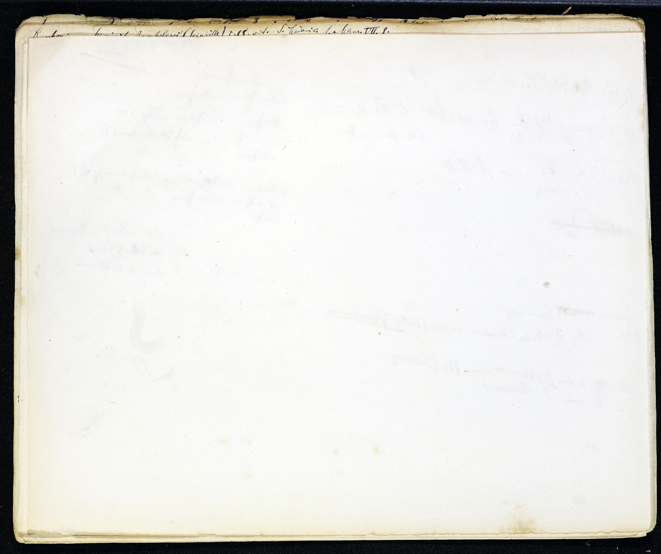 StiAZ-02-Leop-03 0890.jpg