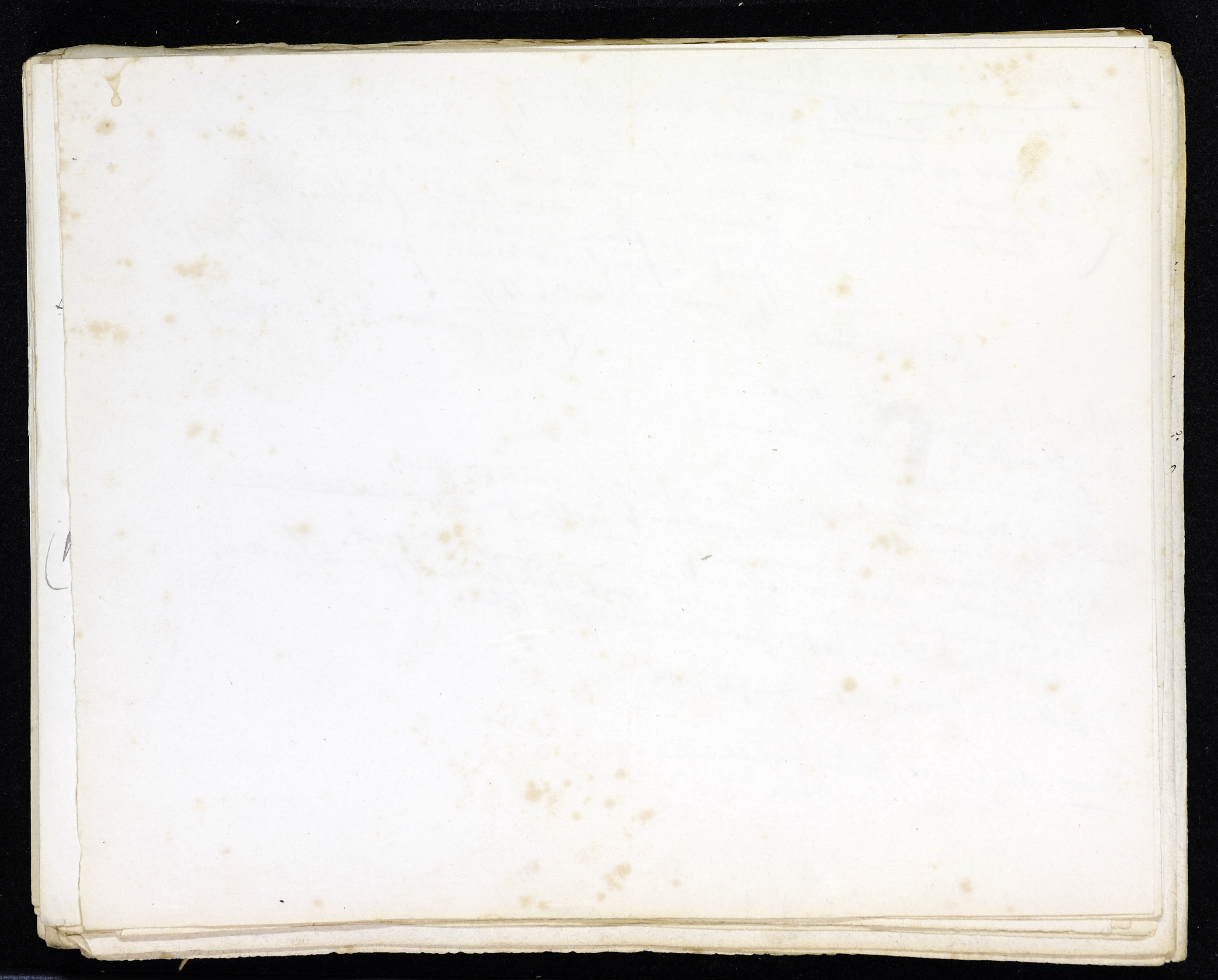 StiAZ-02-Leop-02 1168.jpg
