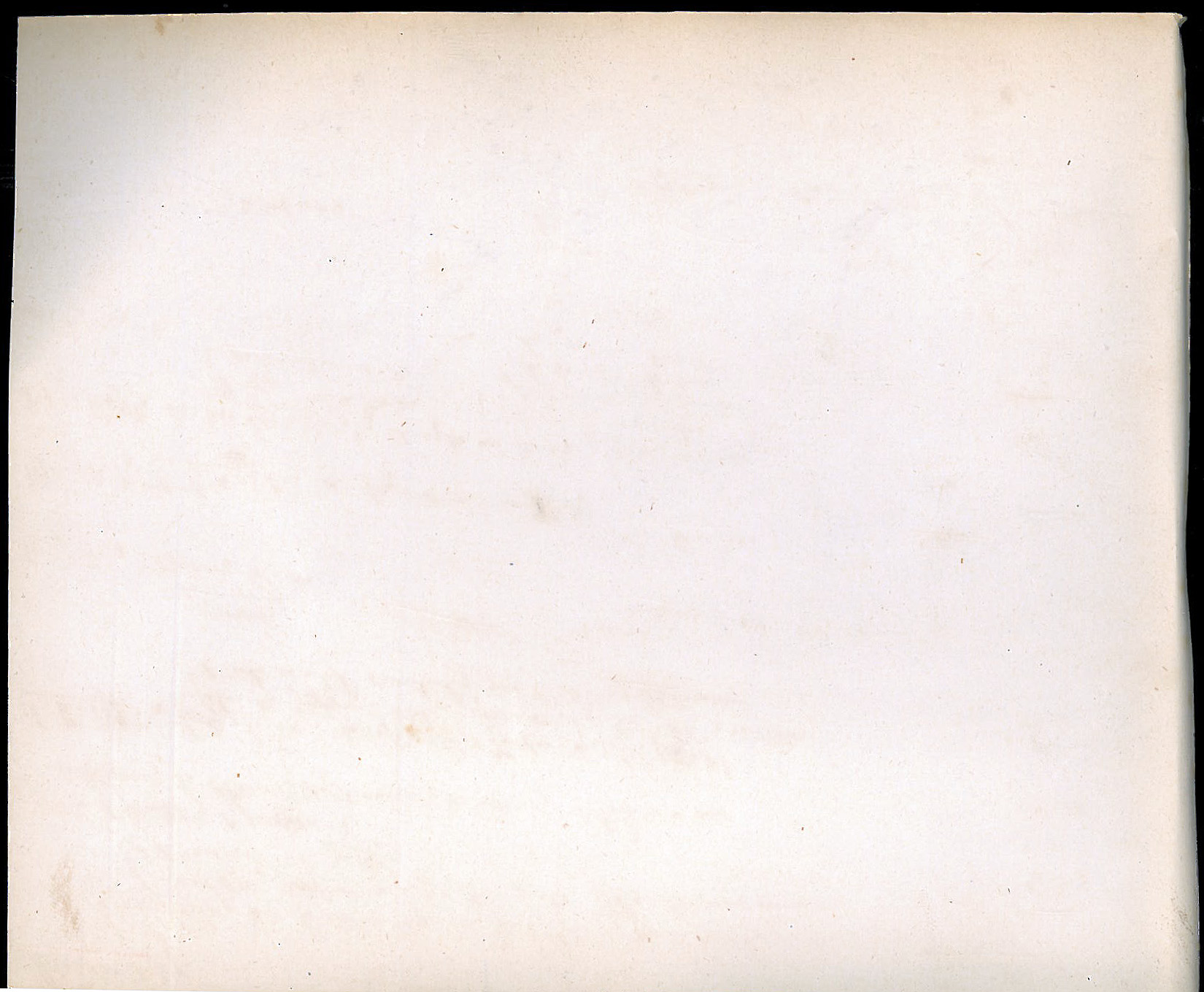 StiAZ-02-Leop-06 1022.jpg