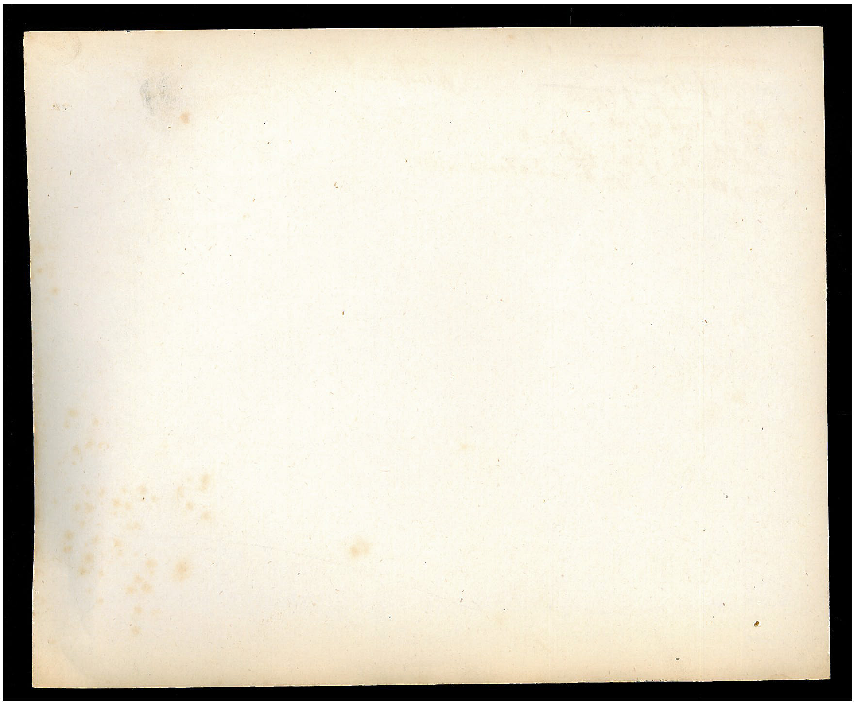 StiAZ-02-Leop-04 1034.jpg