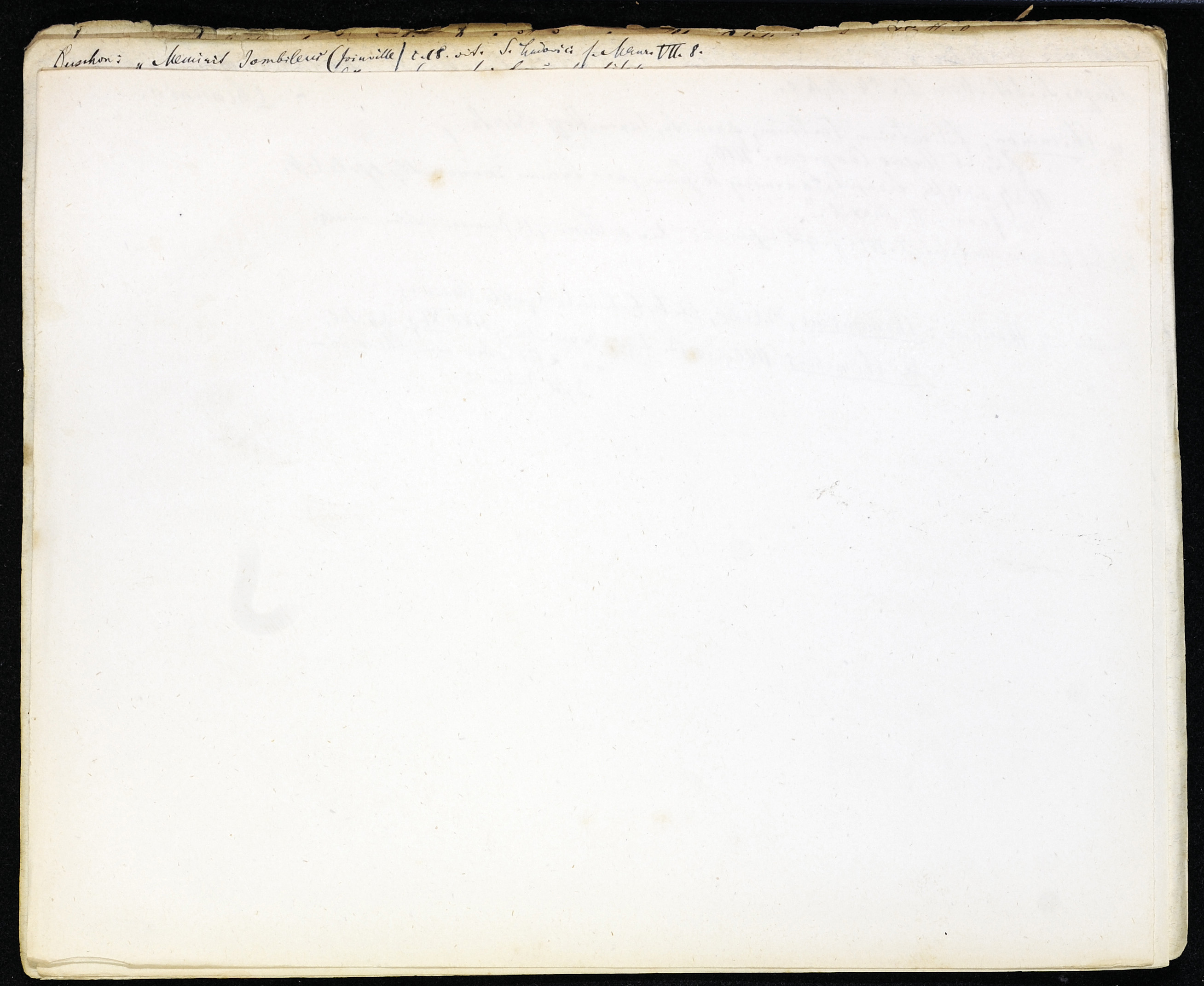 StiAZ-02-Leop-03 0888.jpg