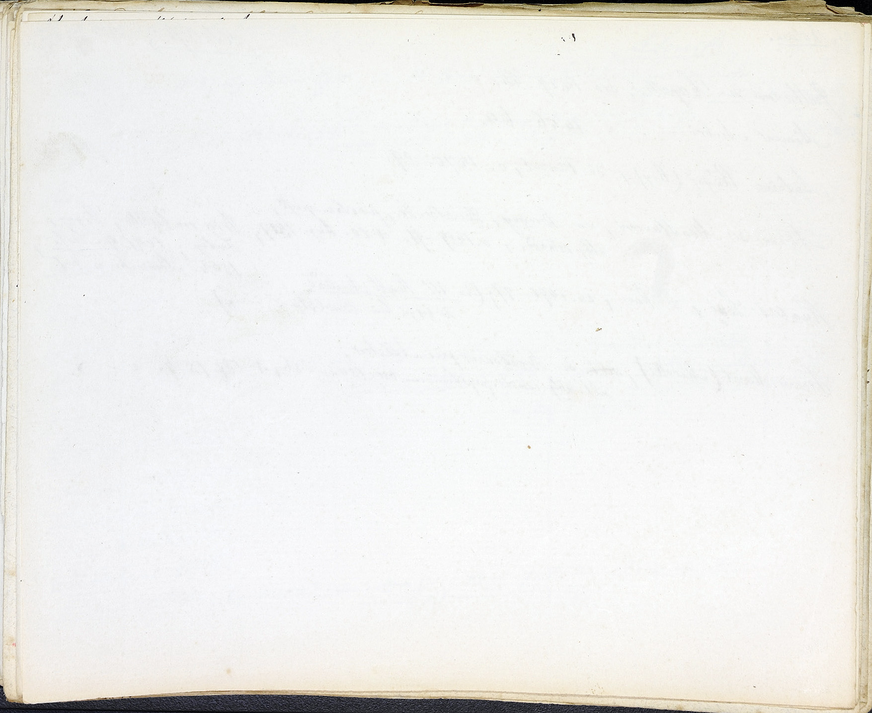 StiAZ-02-Leop-01 0323.jpg