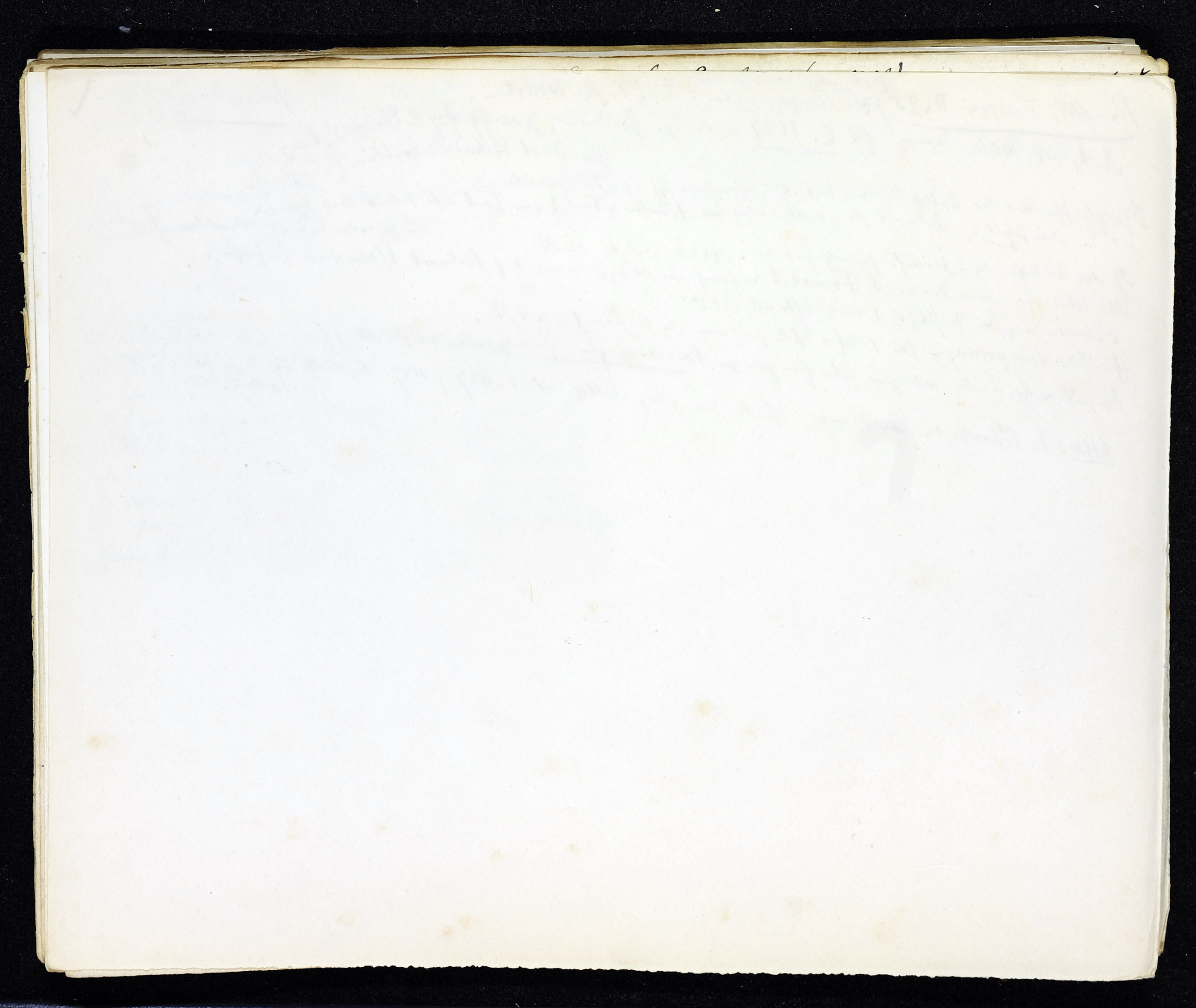 StiAZ-02-Leop-02 0324.jpg