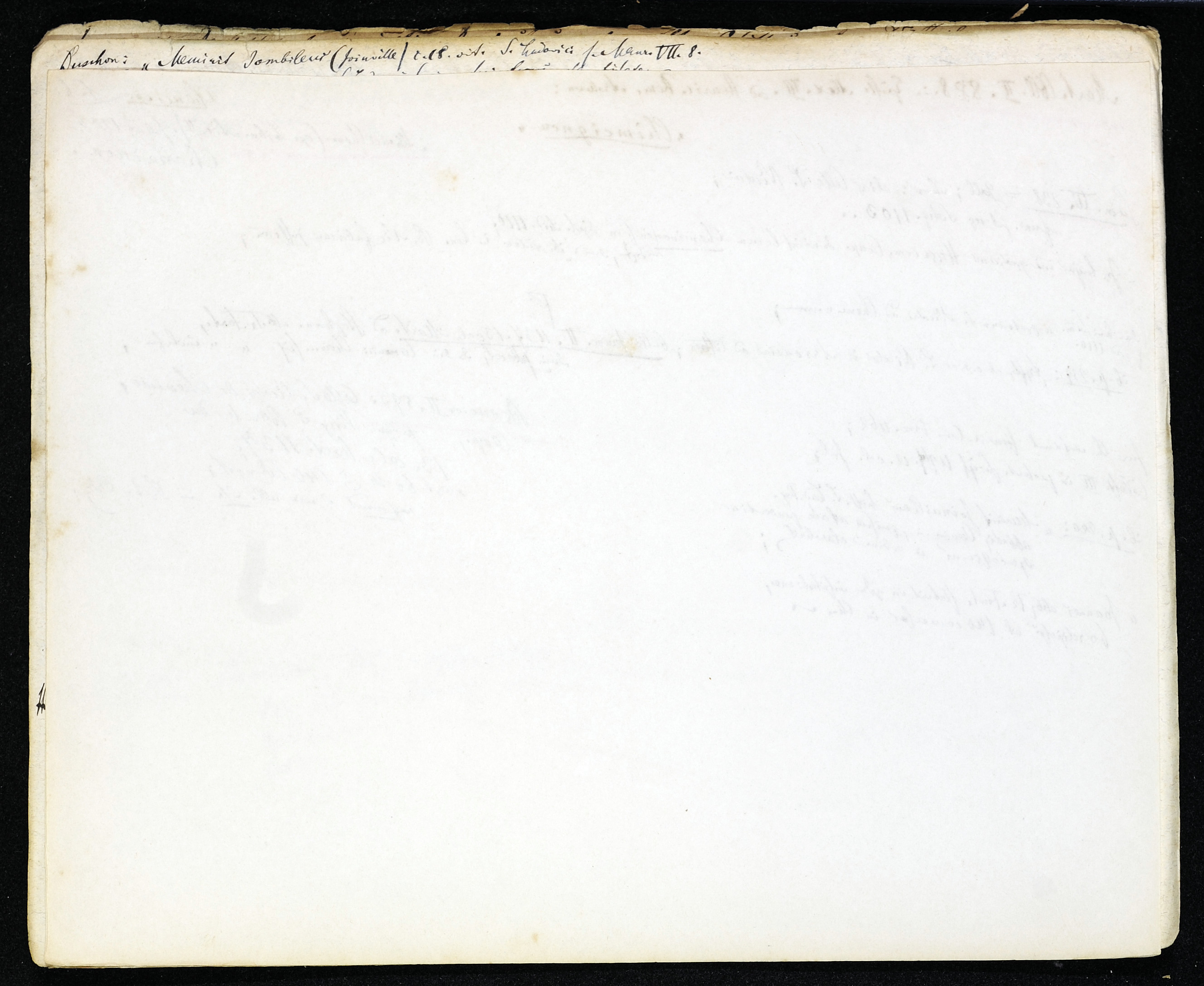 StiAZ-02-Leop-03 0886.jpg