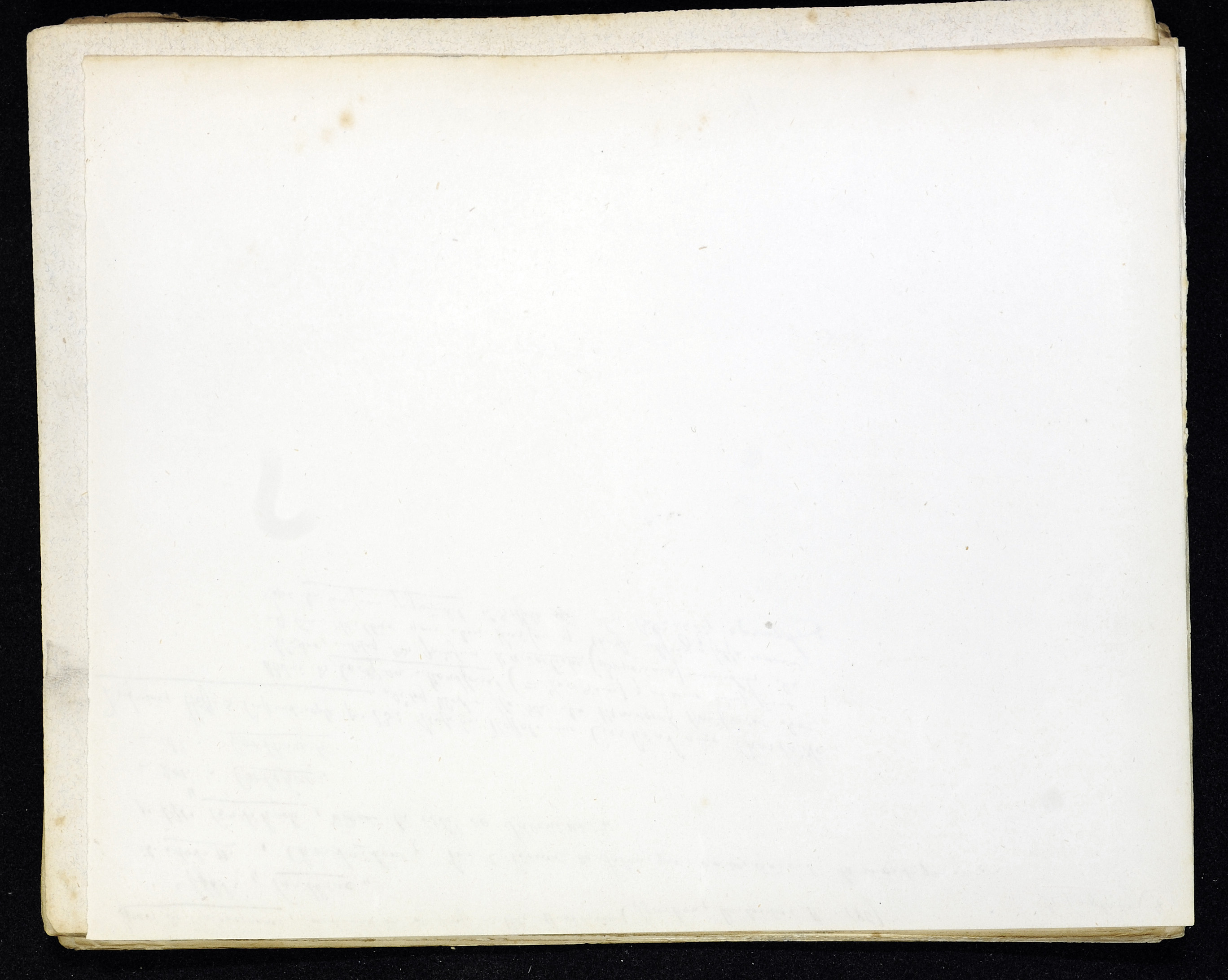 StiAZ-02-Leop-03 0918.jpg