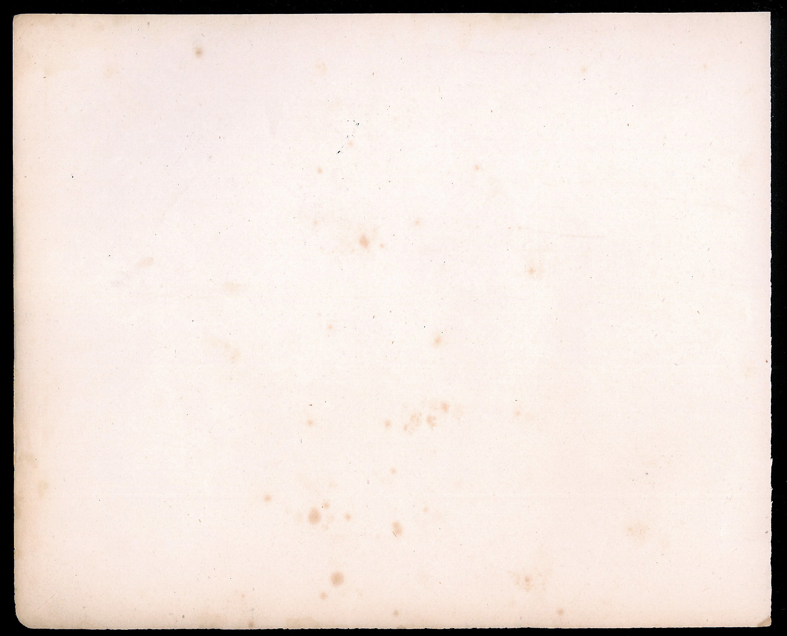 StiAZ-02-Leop-10 0018.jpg