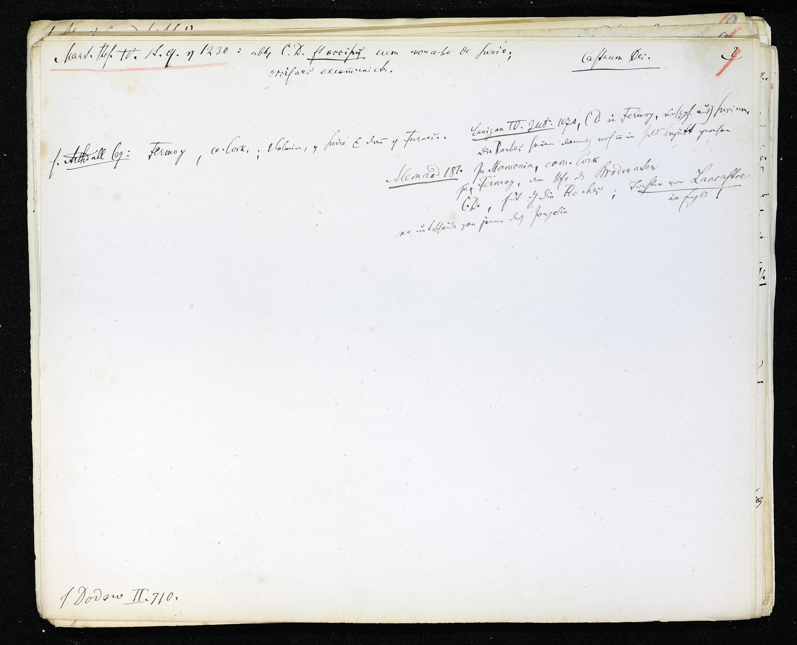 StiAZ-02-Leop-03 0589.jpg
