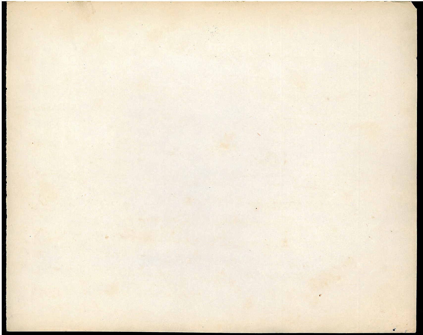 StiAZ-02-Leop-04 1252.jpg