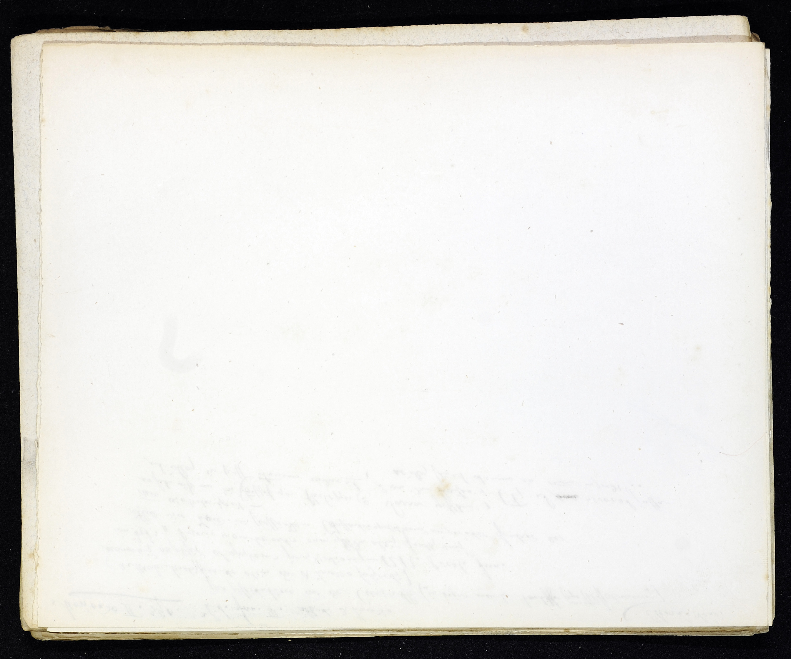 StiAZ-02-Leop-03 0922.jpg