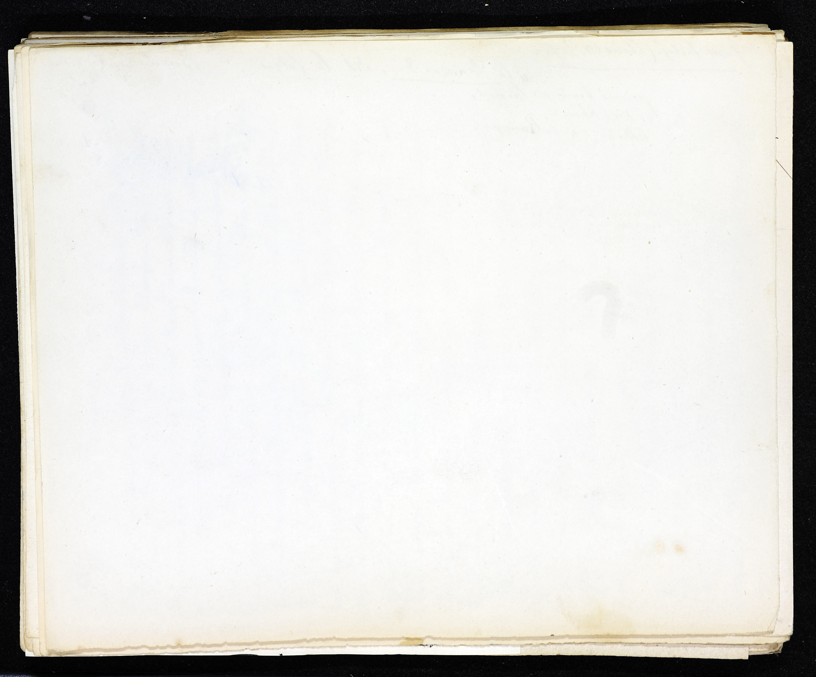 StiAZ-02-Leop-02 0364.jpg